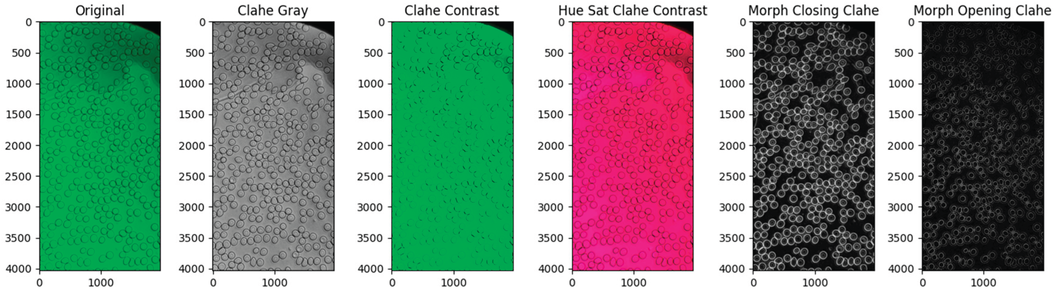 Preprints 224156 g001 Preprints 224156 g001