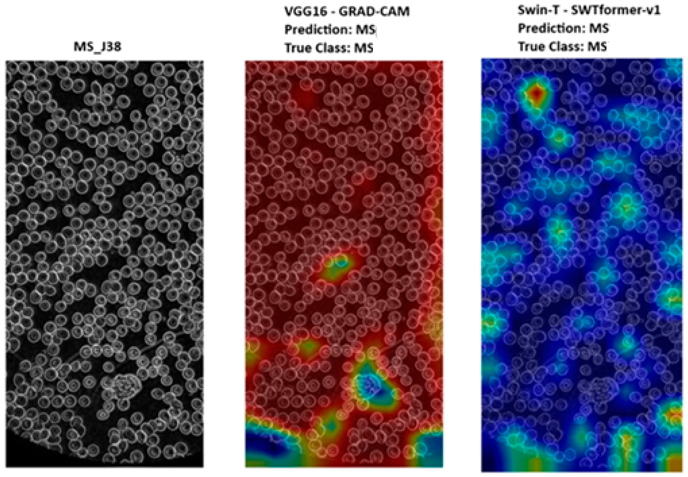 Preprints 224156 g010 Preprints 224156 g010
