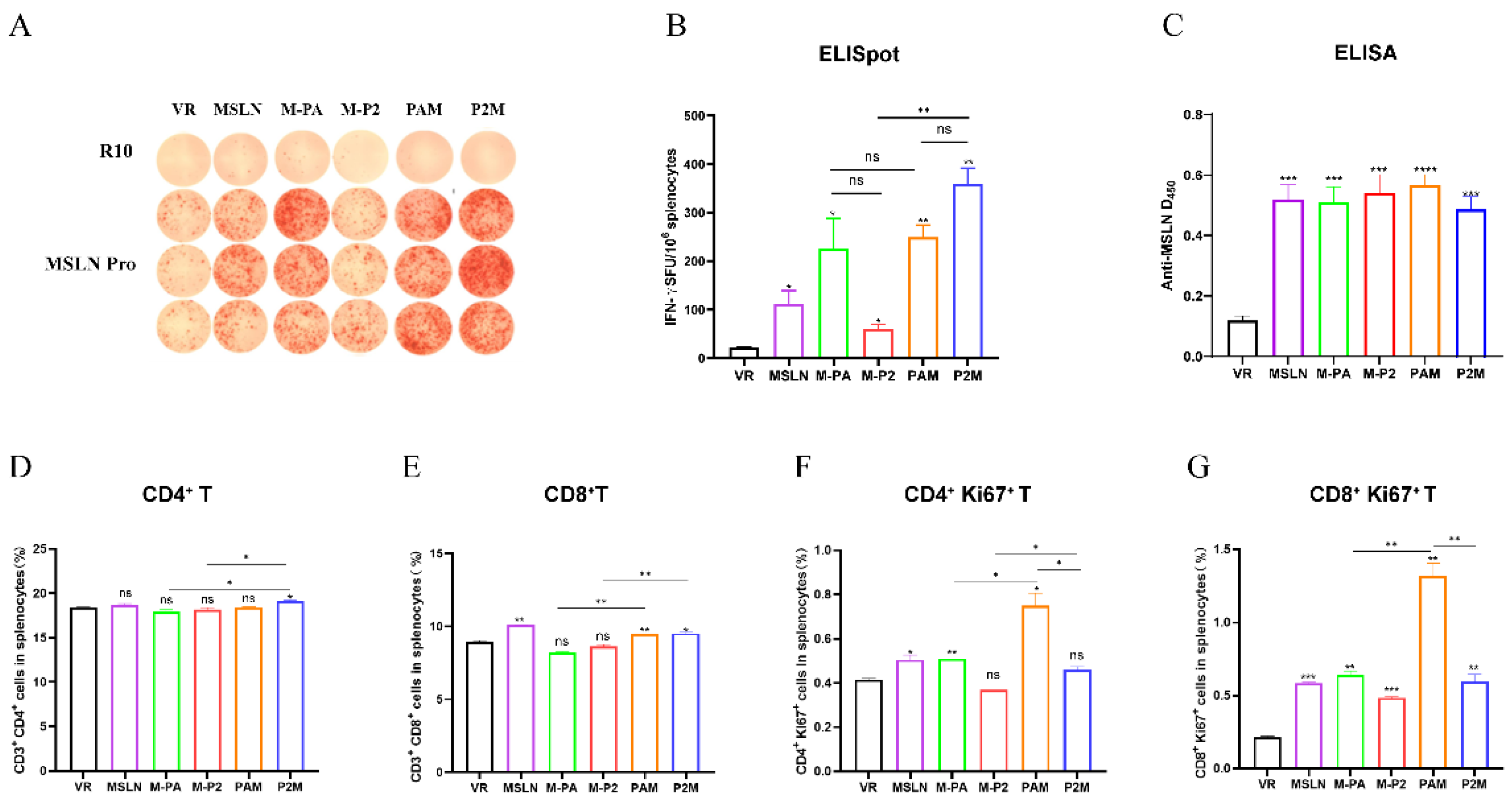 Preprints 194276 g002