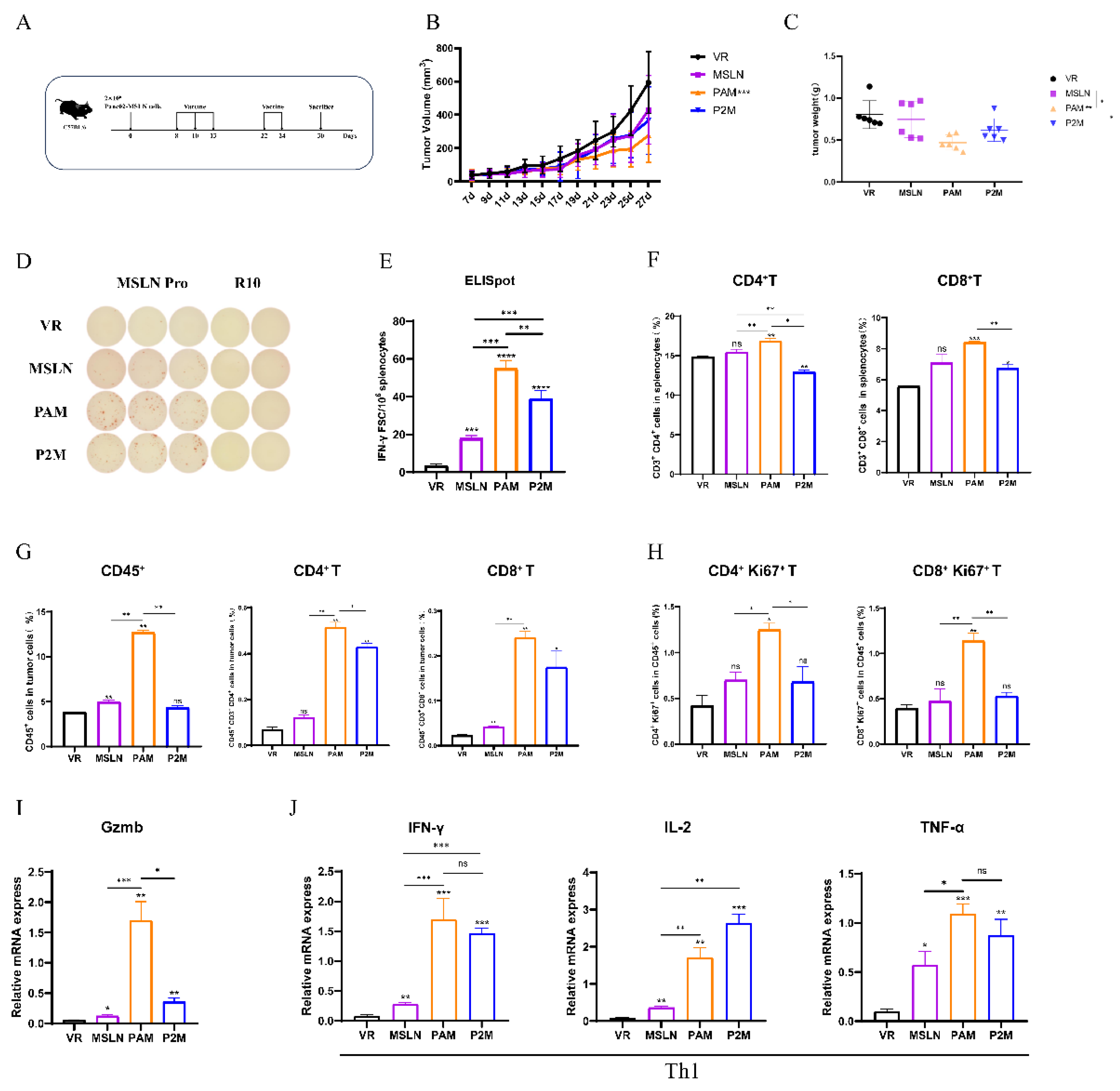 Preprints 194276 g003
