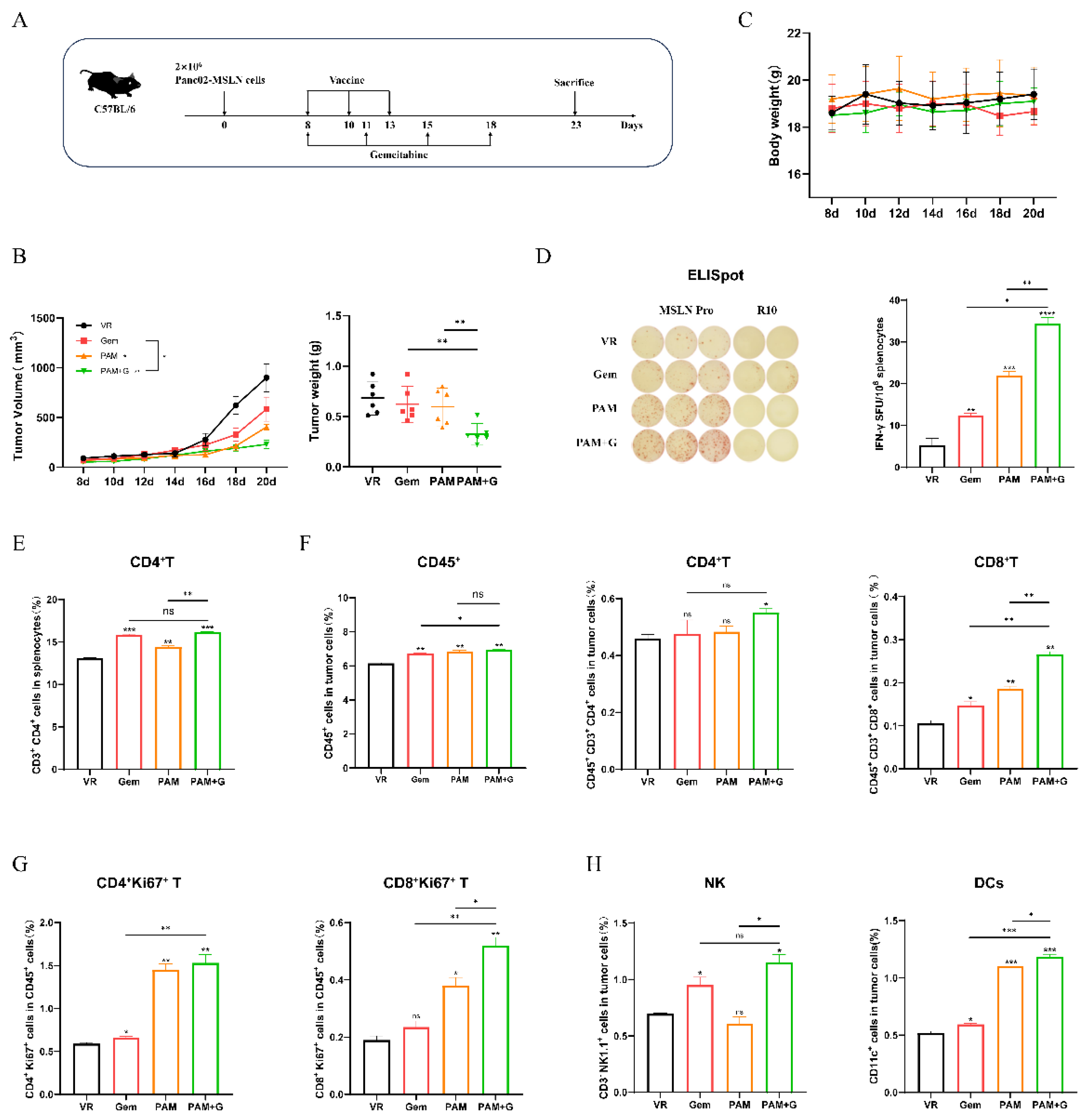 Preprints 194276 g005