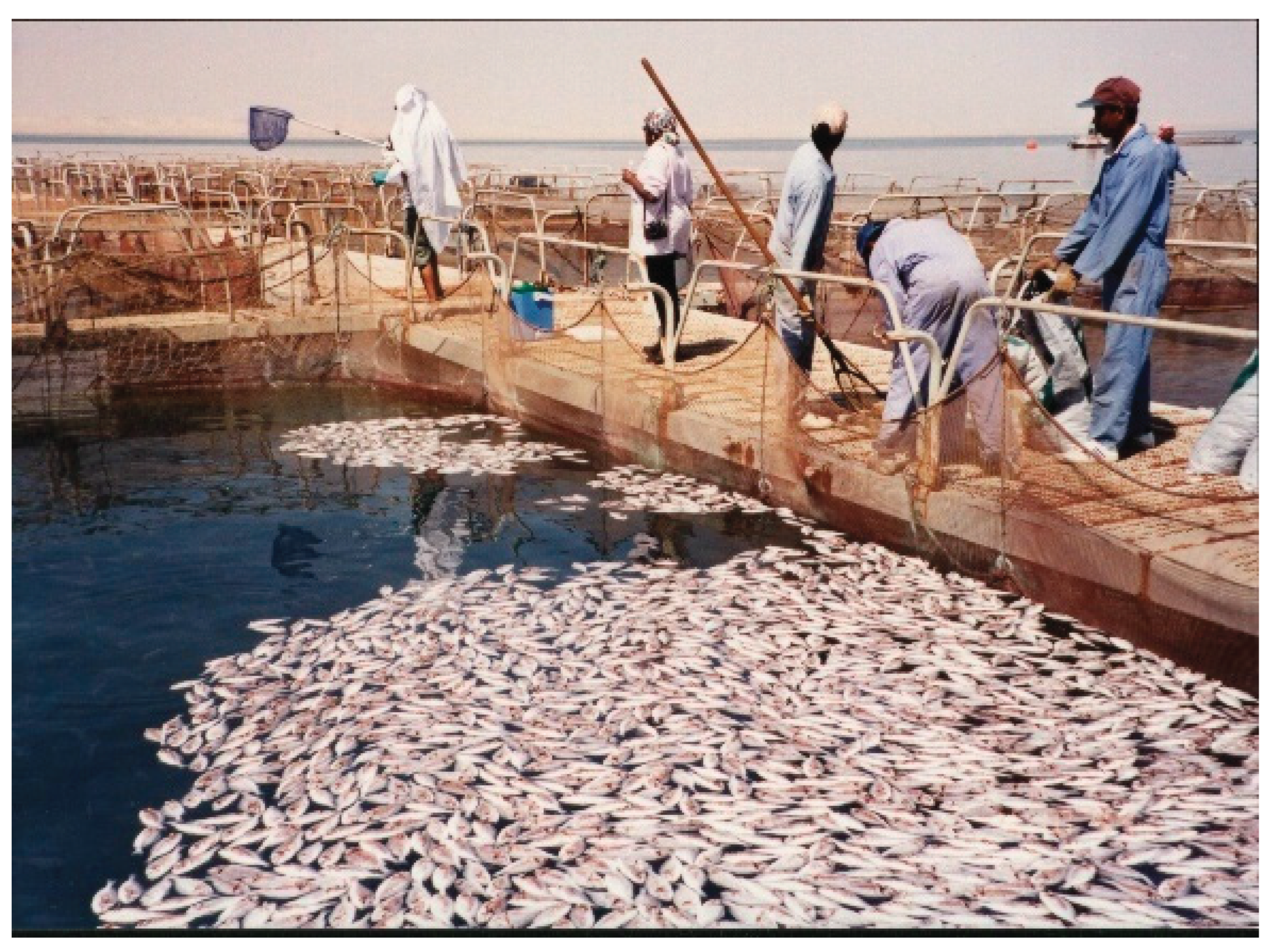 Preprints 164624 g003