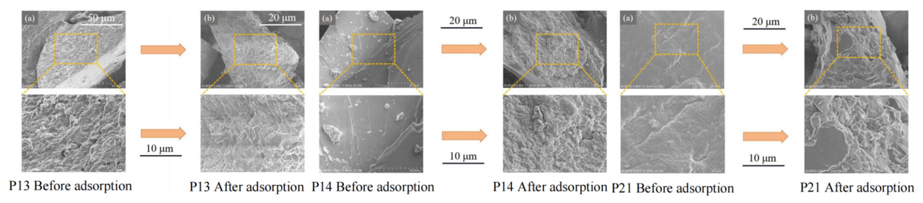Preprints 186490 g009