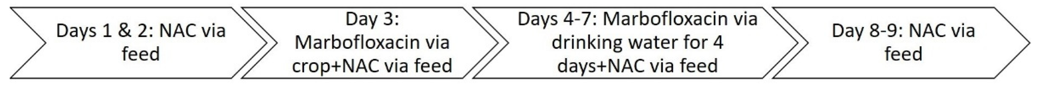 Preprints 152135 sch001