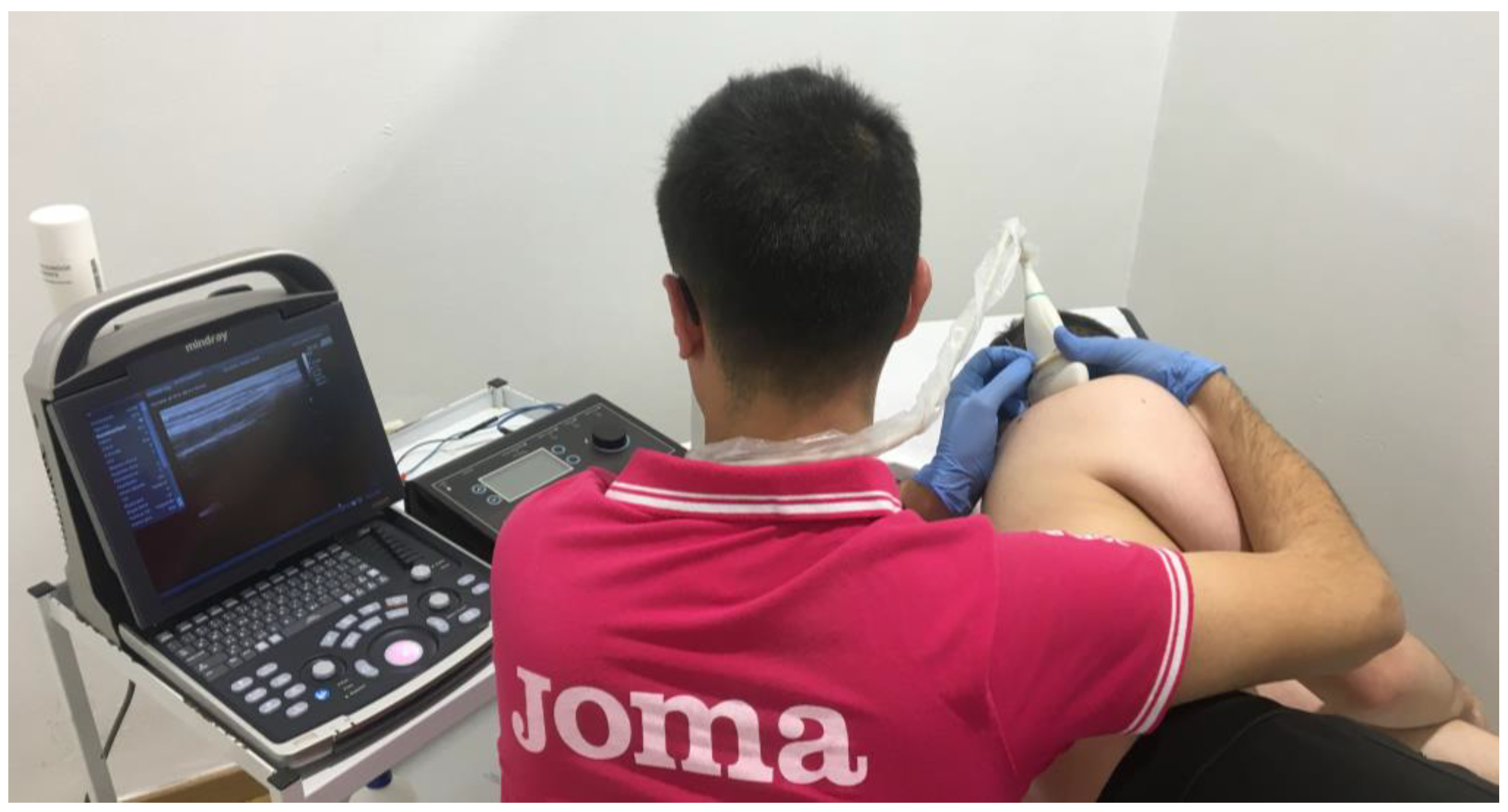 Preprints 100692 g002