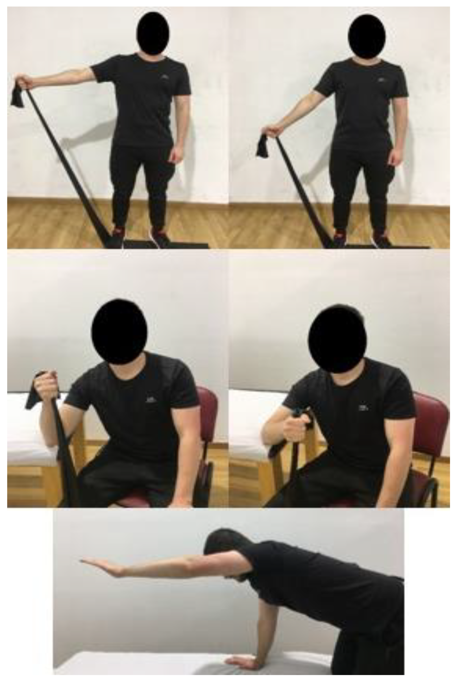 Preprints 100692 g003