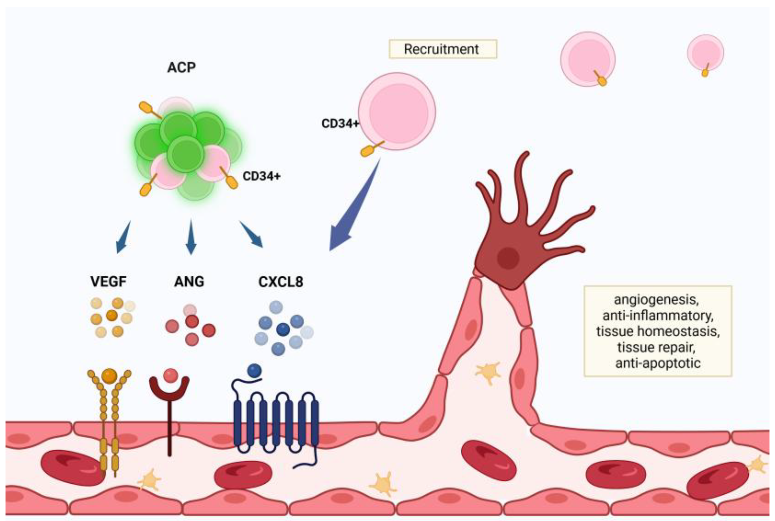 Preprints 165795 g002