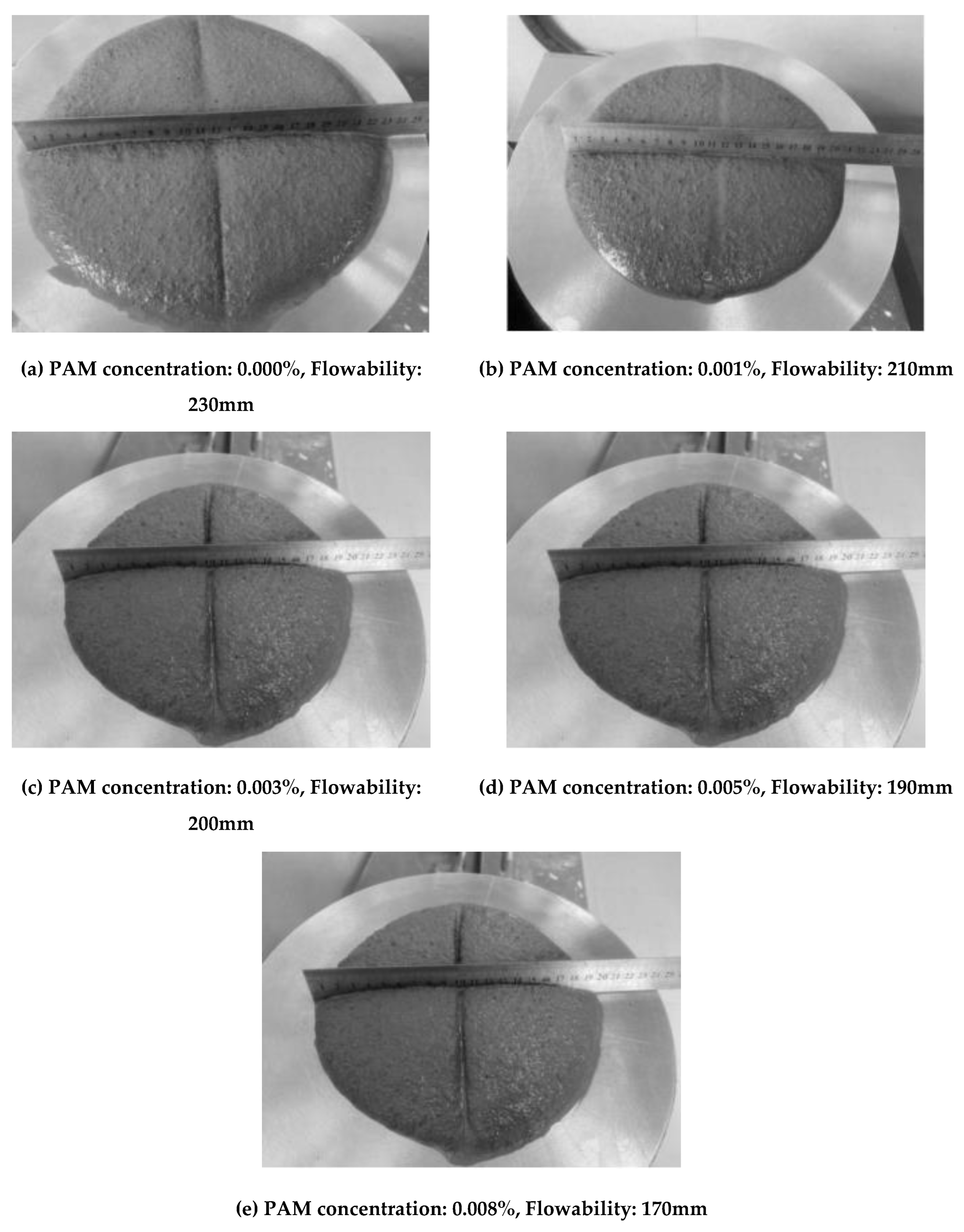 Preprints 172916 g005