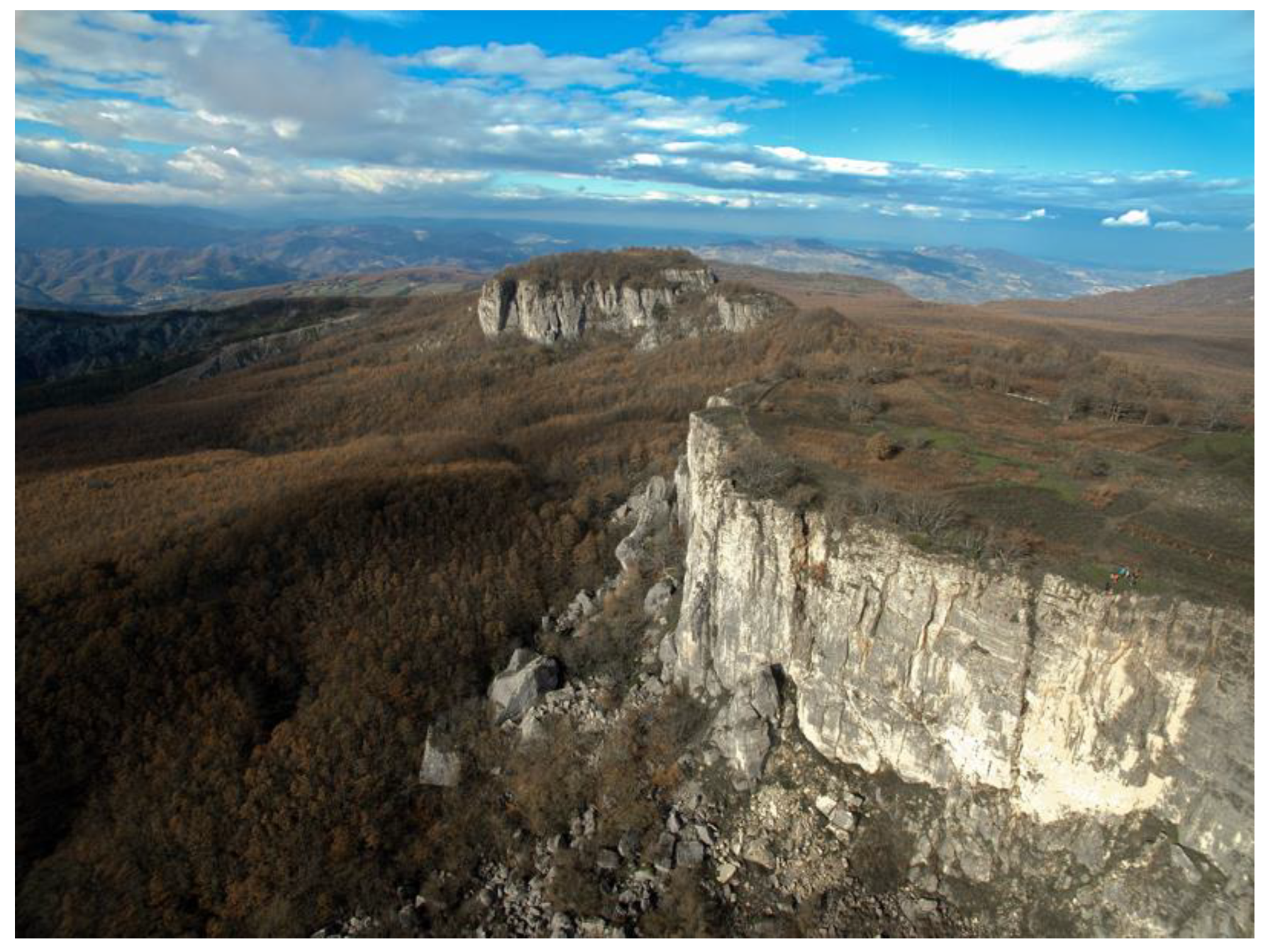 Preprints 154019 g002