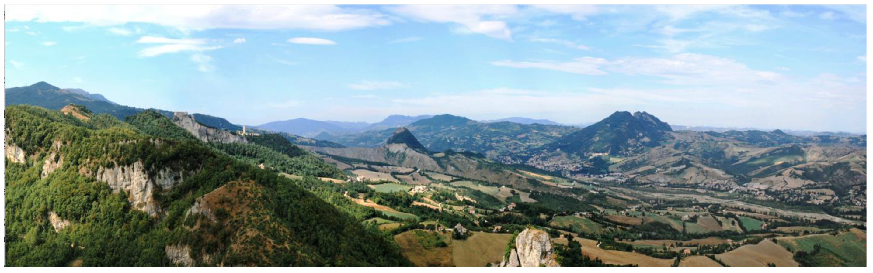 Preprints 154019 g003