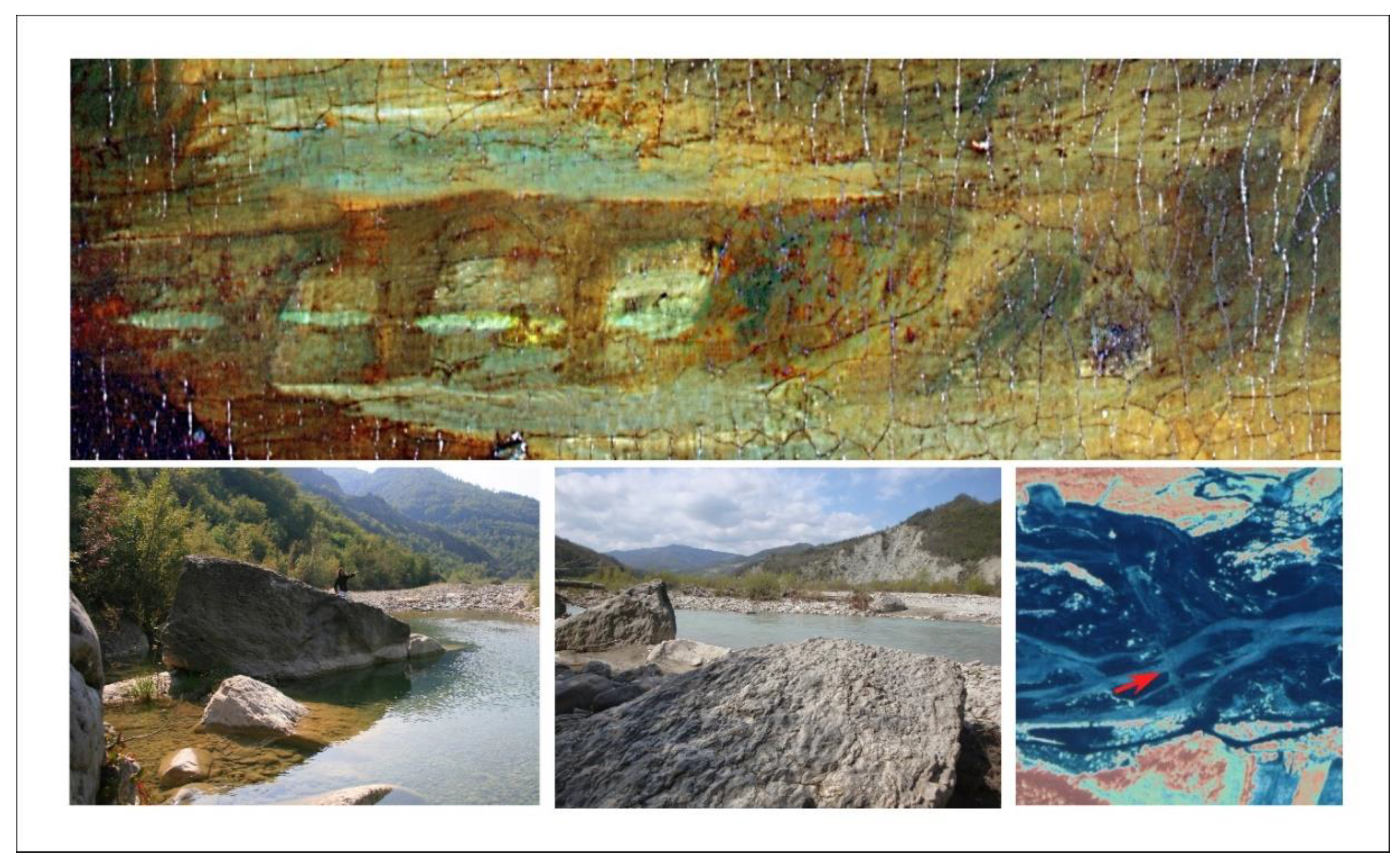 Preprints 154019 g008