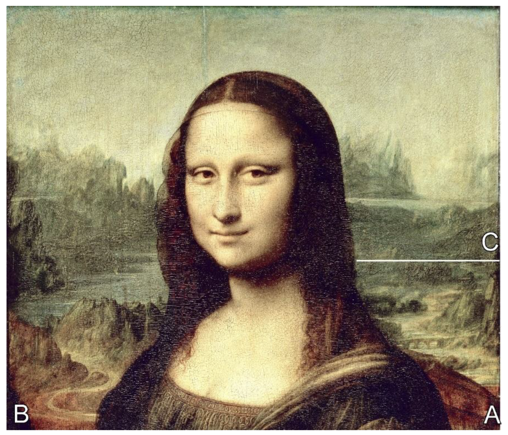 Preprints 154019 g010