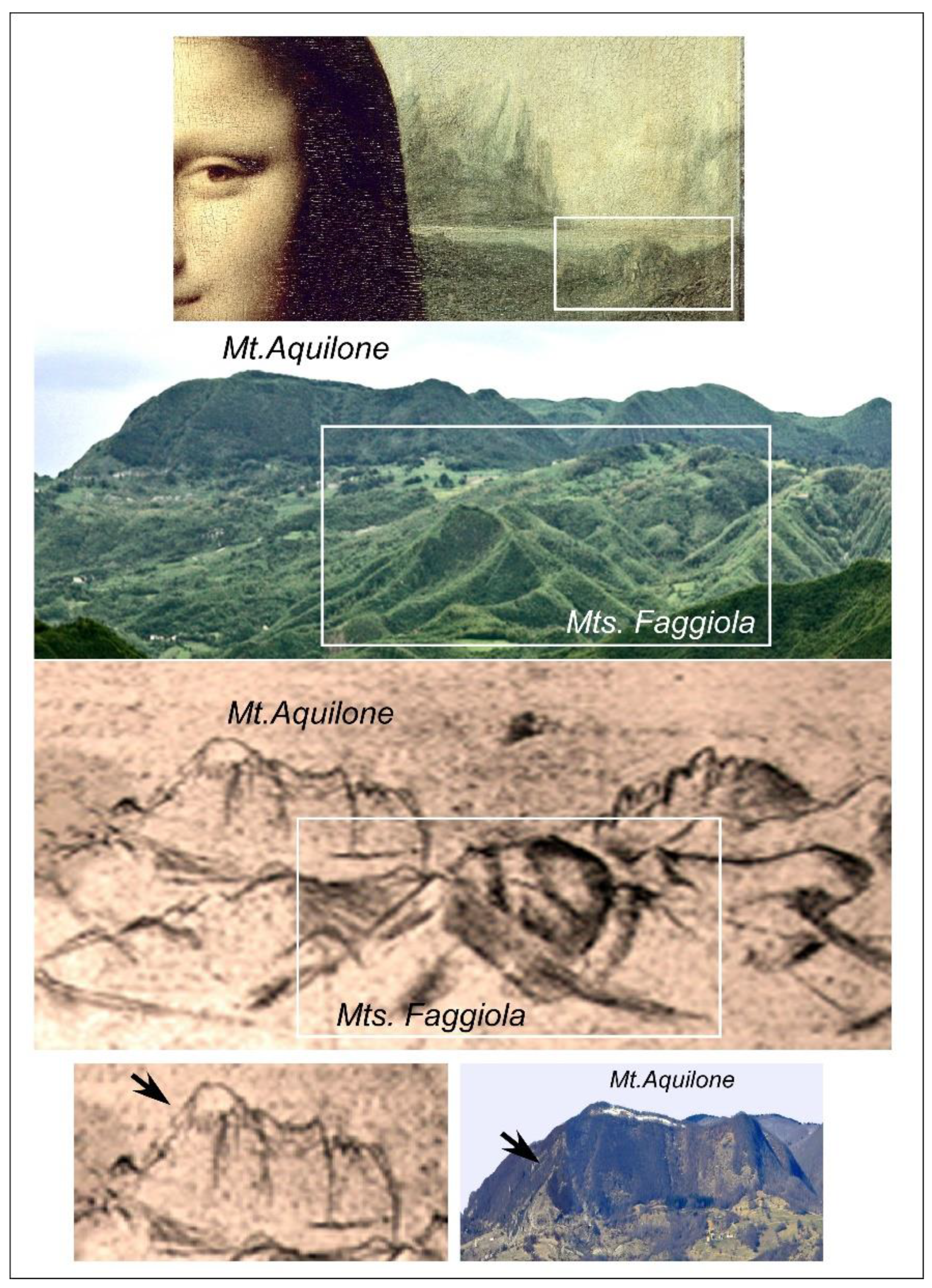 Preprints 154019 g013