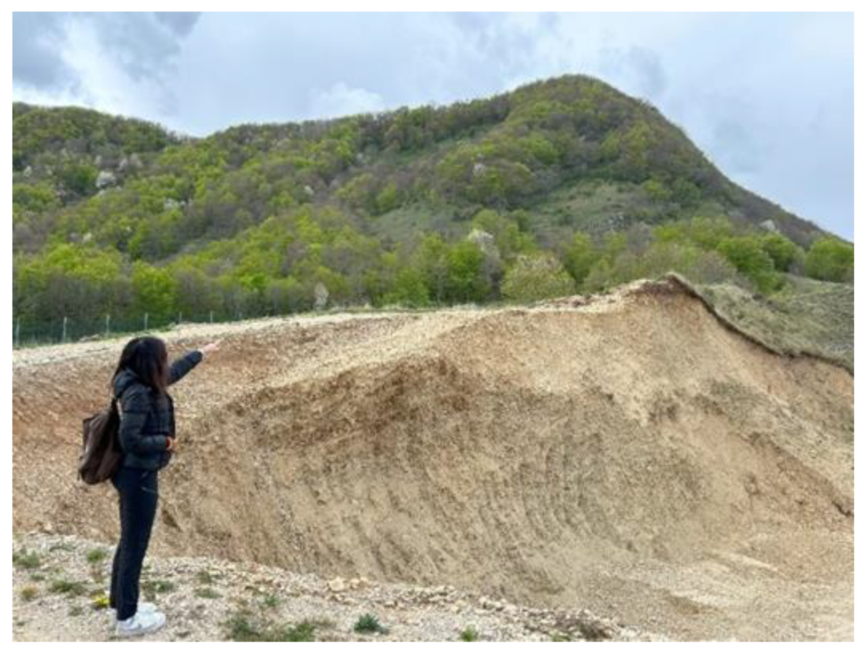 Preprints 154019 g016