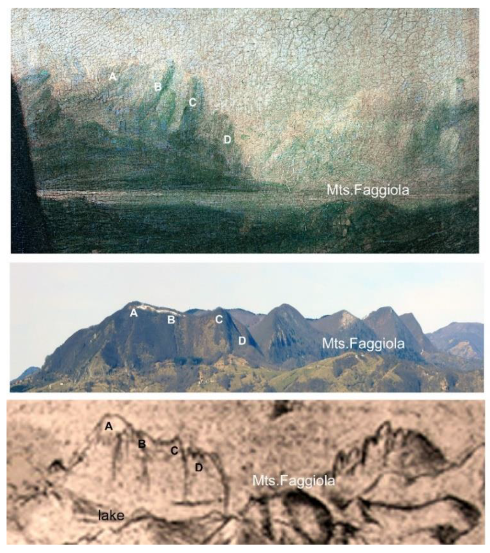 Preprints 154019 g017