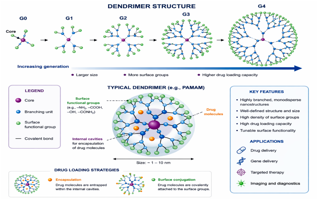 Preprints 212206 g003 Preprints 212206 g003