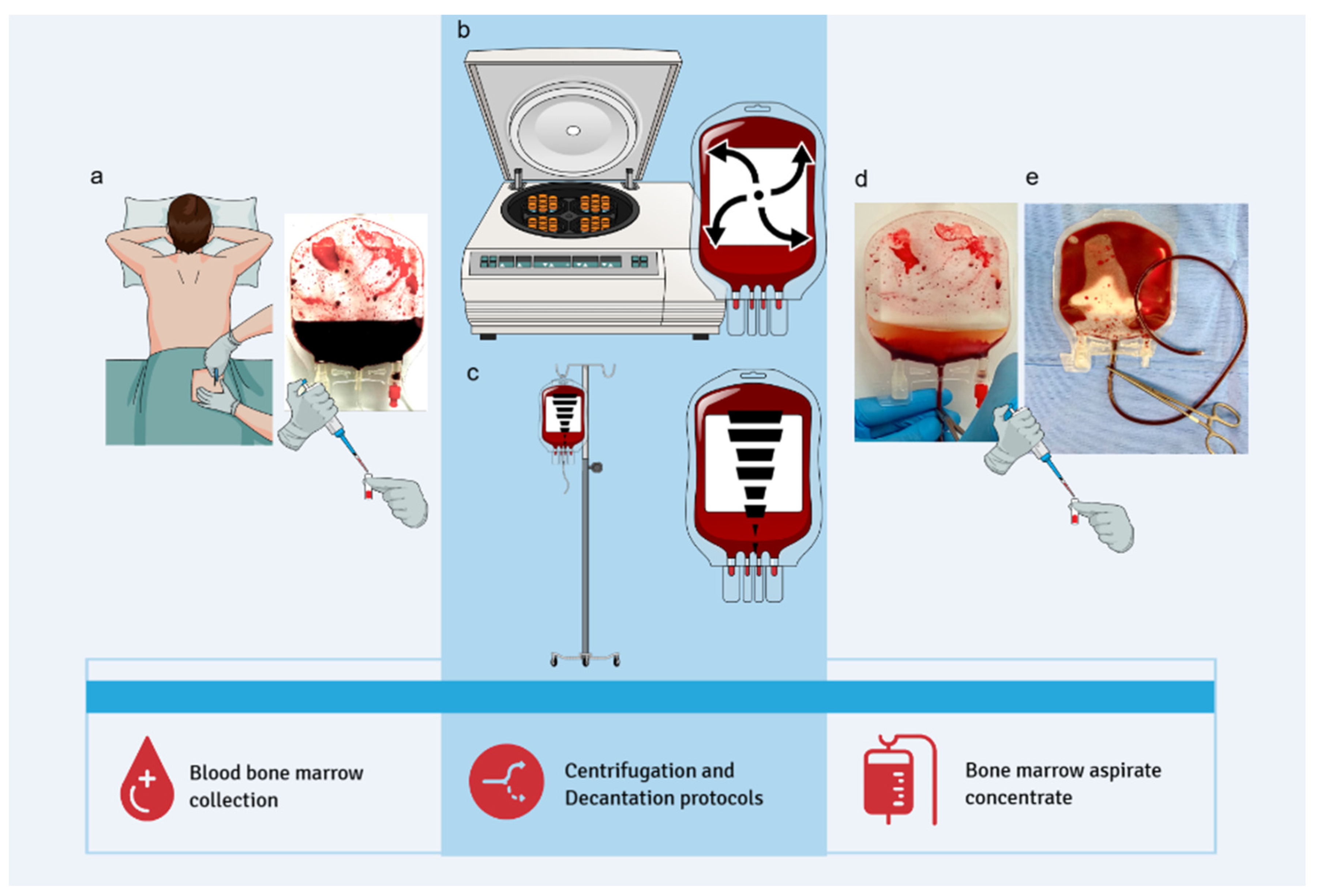 Preprints 158435 g001