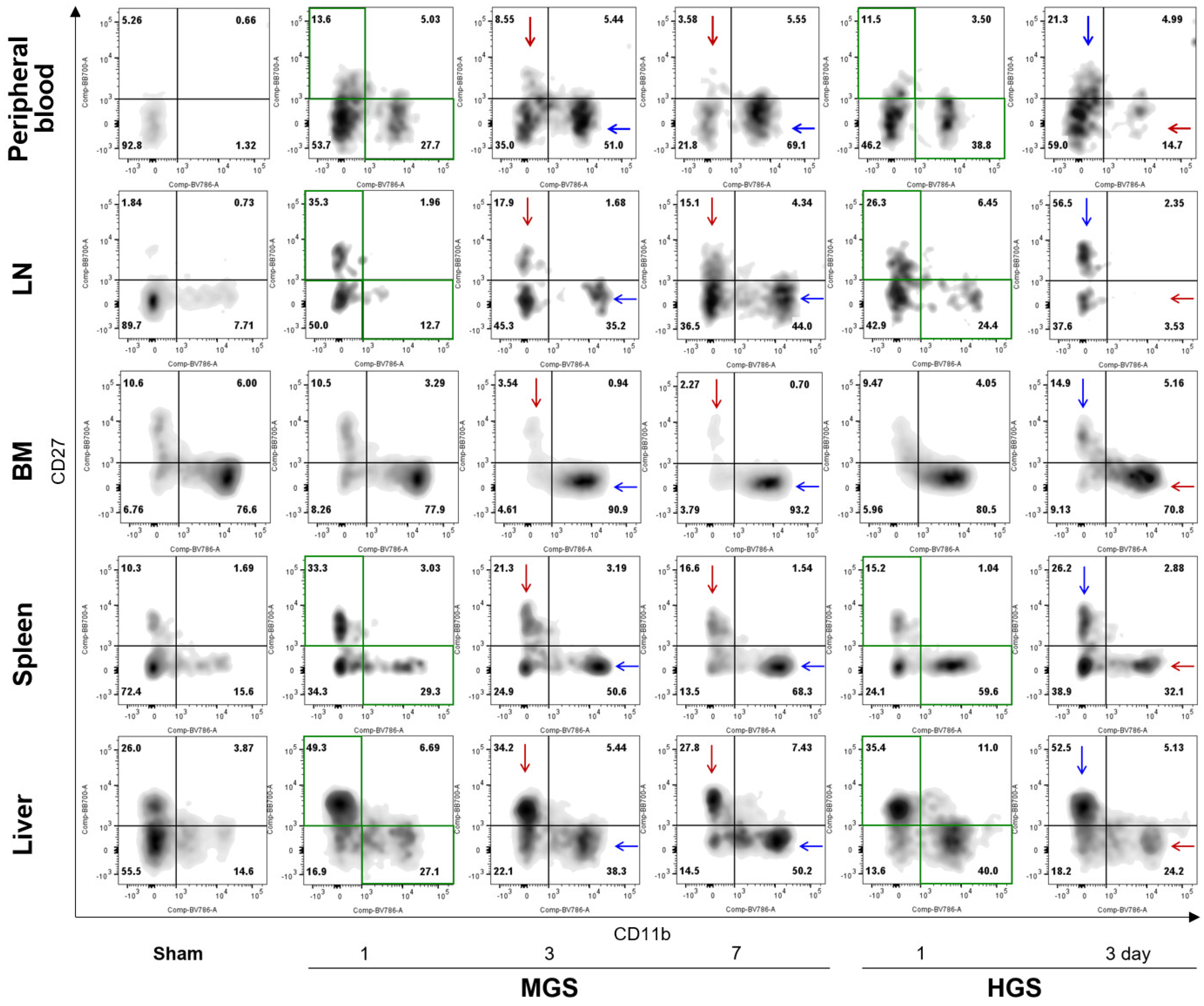 Preprints 158112 g002