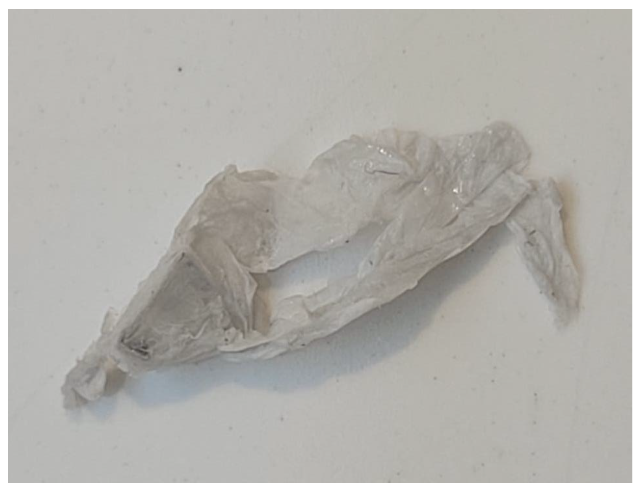 Preprints 122074 g002