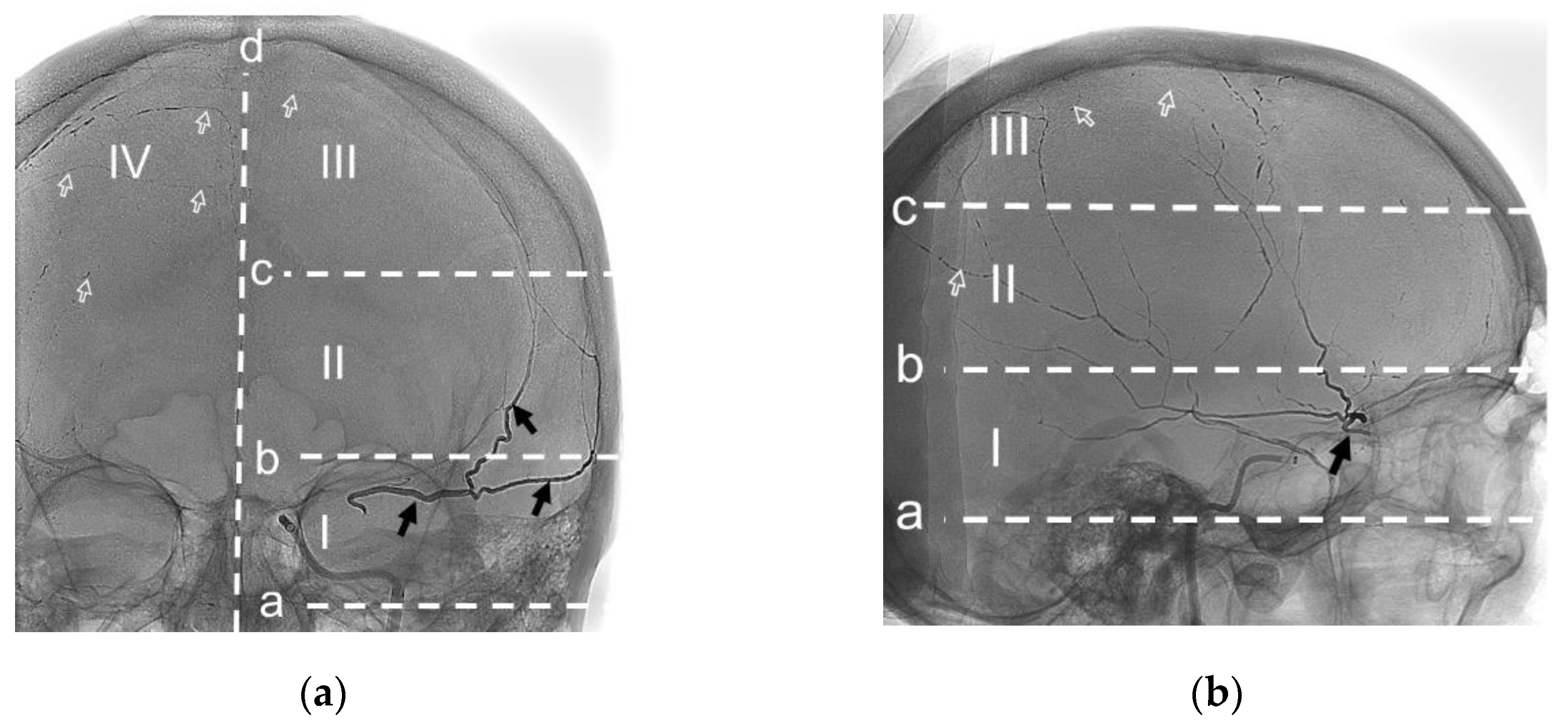 Preprints 122074 g003