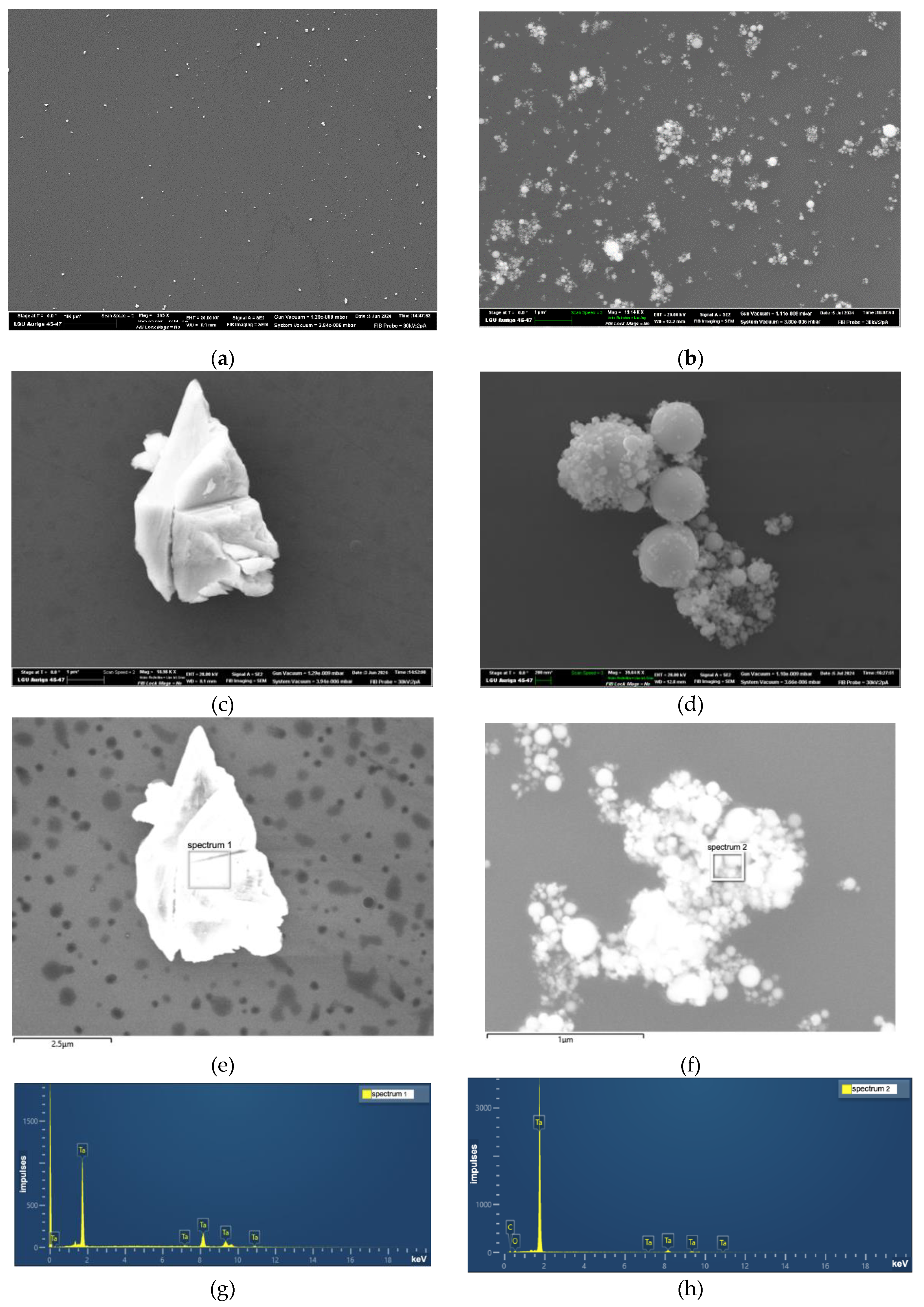 Preprints 122074 g007