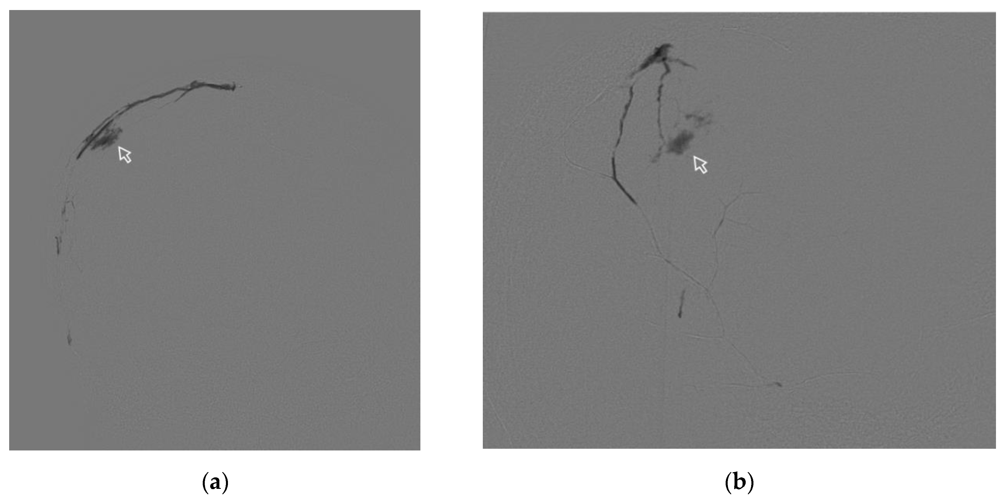 Preprints 122074 g009