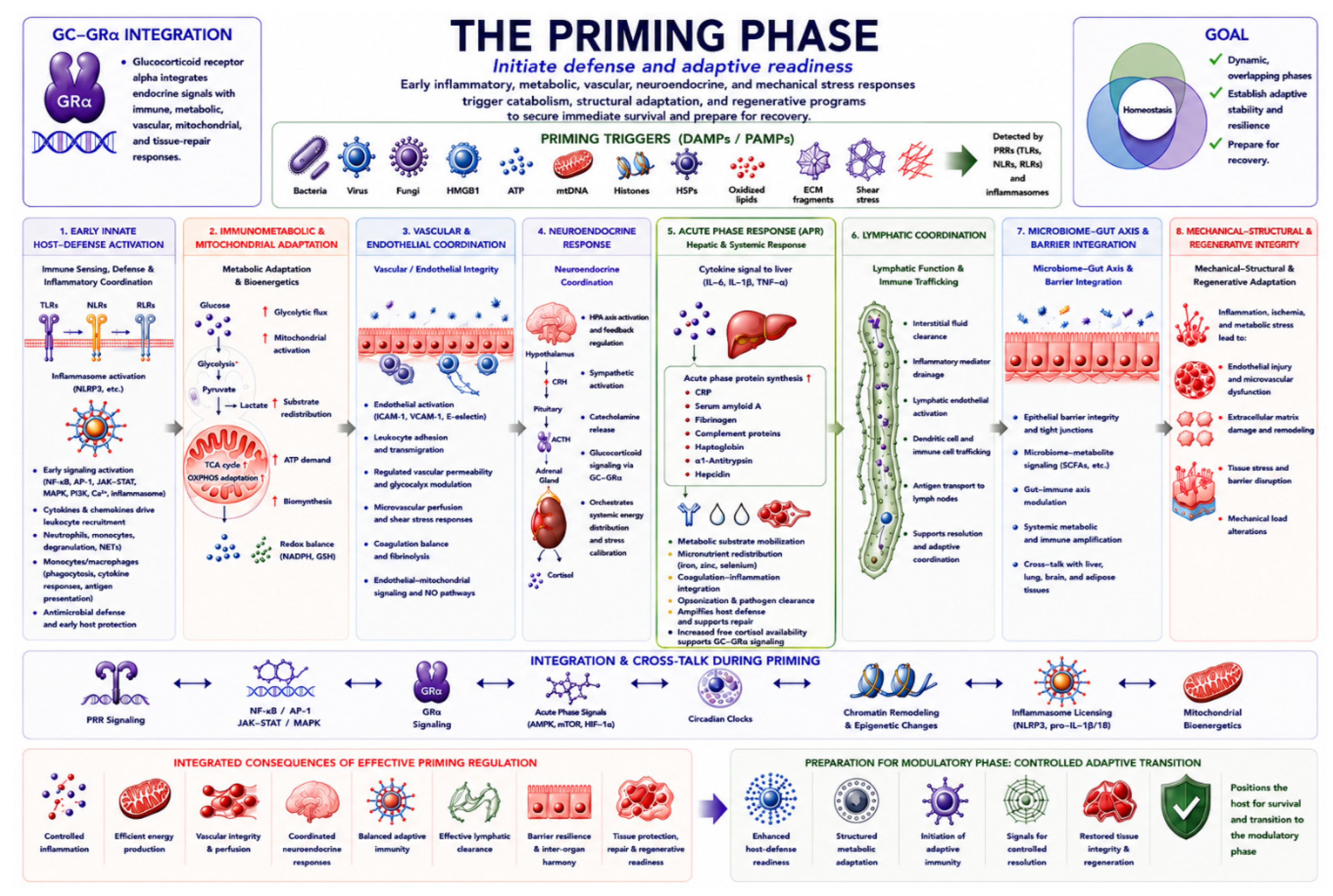 Preprints 229518 g002 Preprints 229518 g002