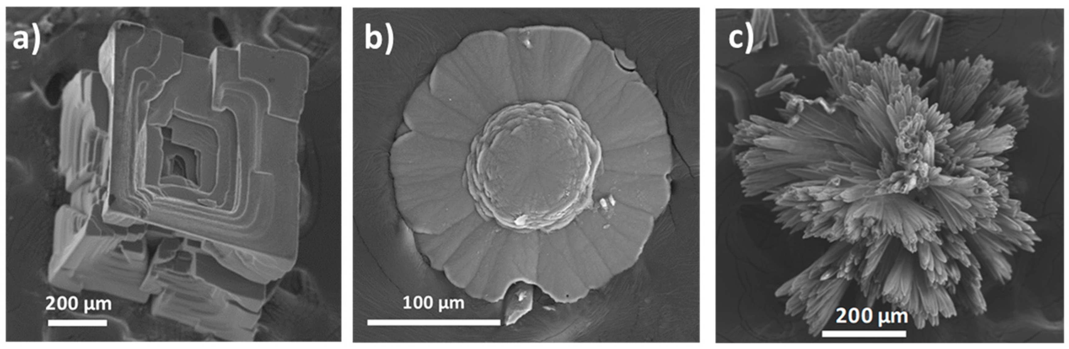 Preprints 109879 g001