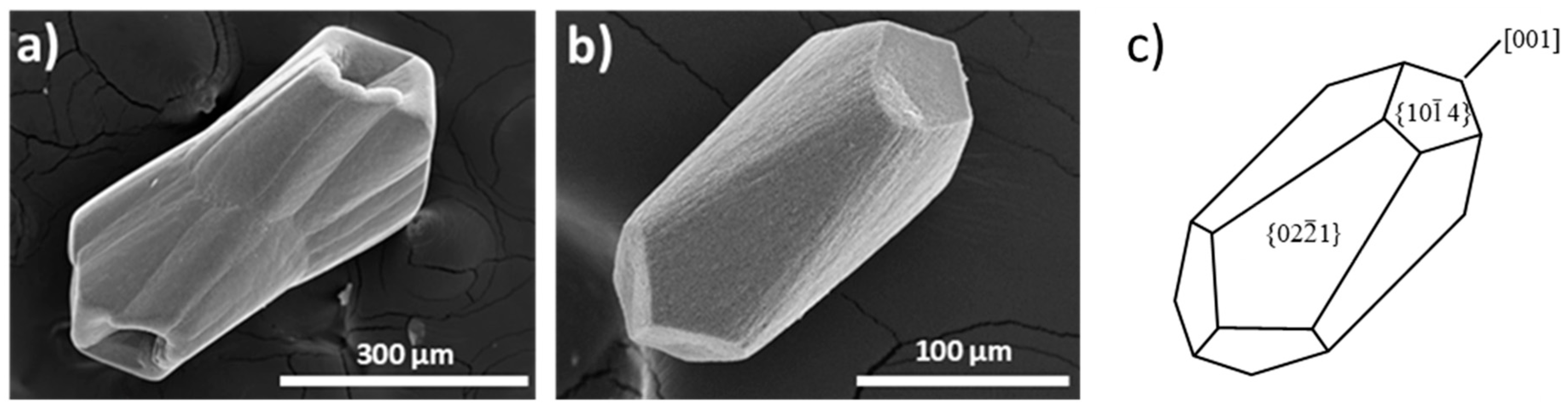 Preprints 109879 g002
