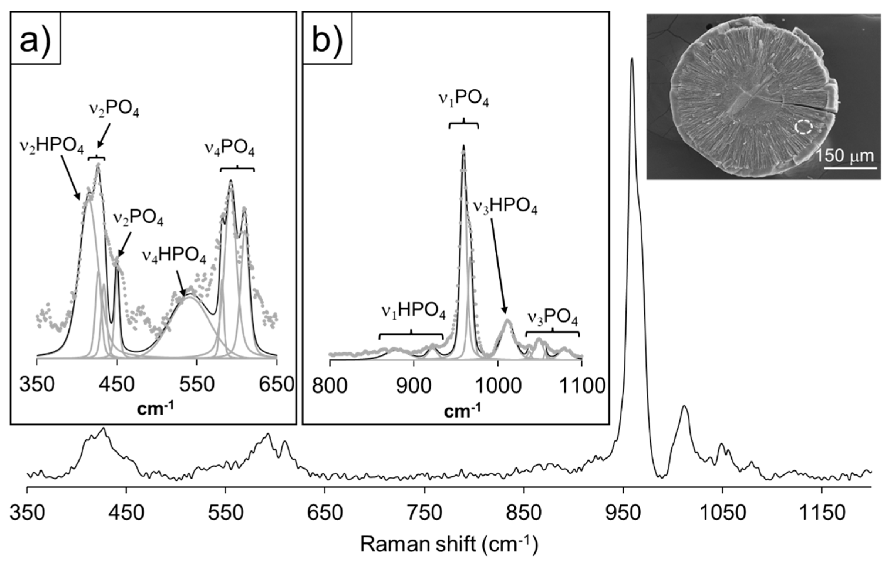 Preprints 109879 g008