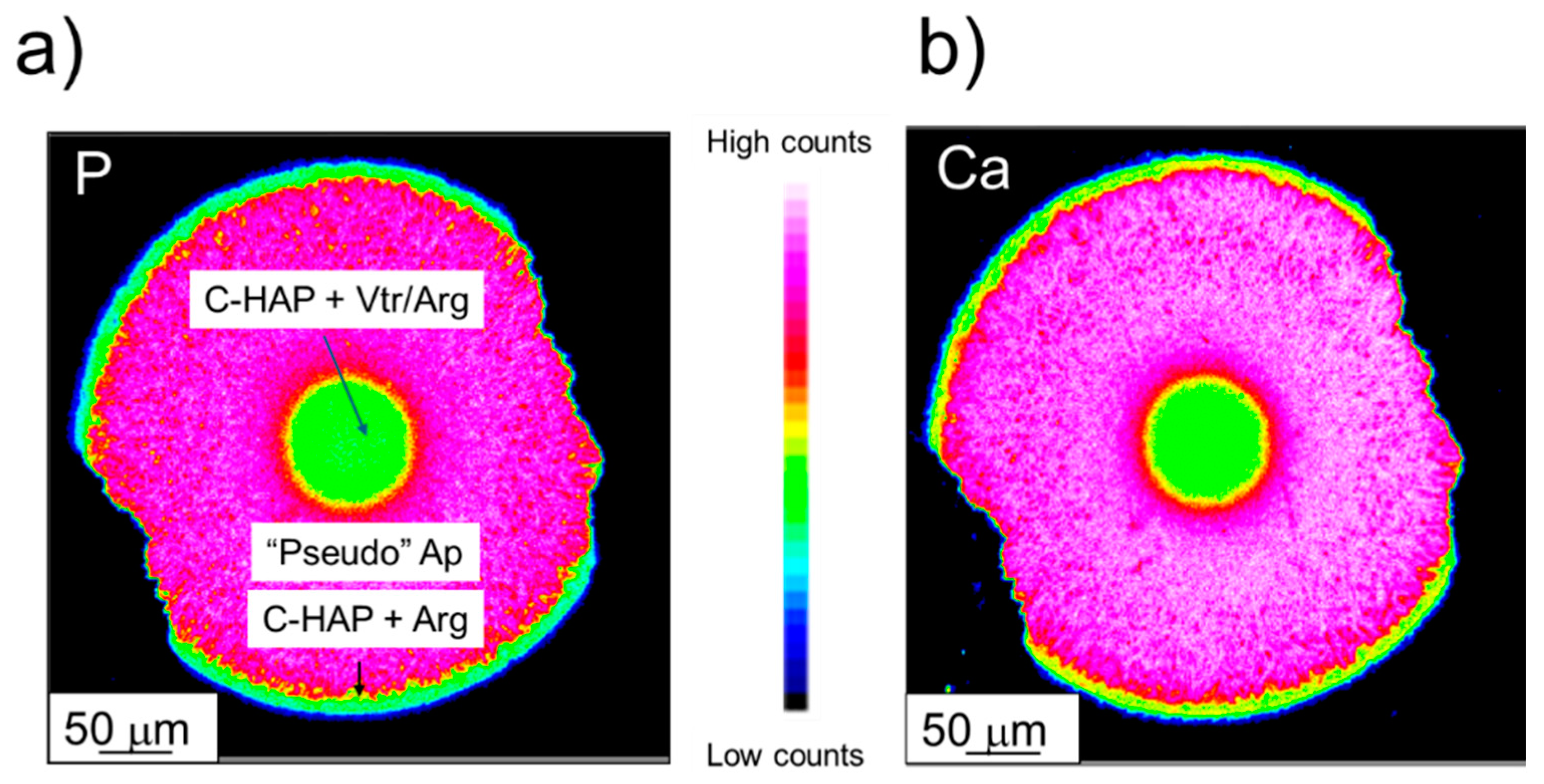 Preprints 109879 g011