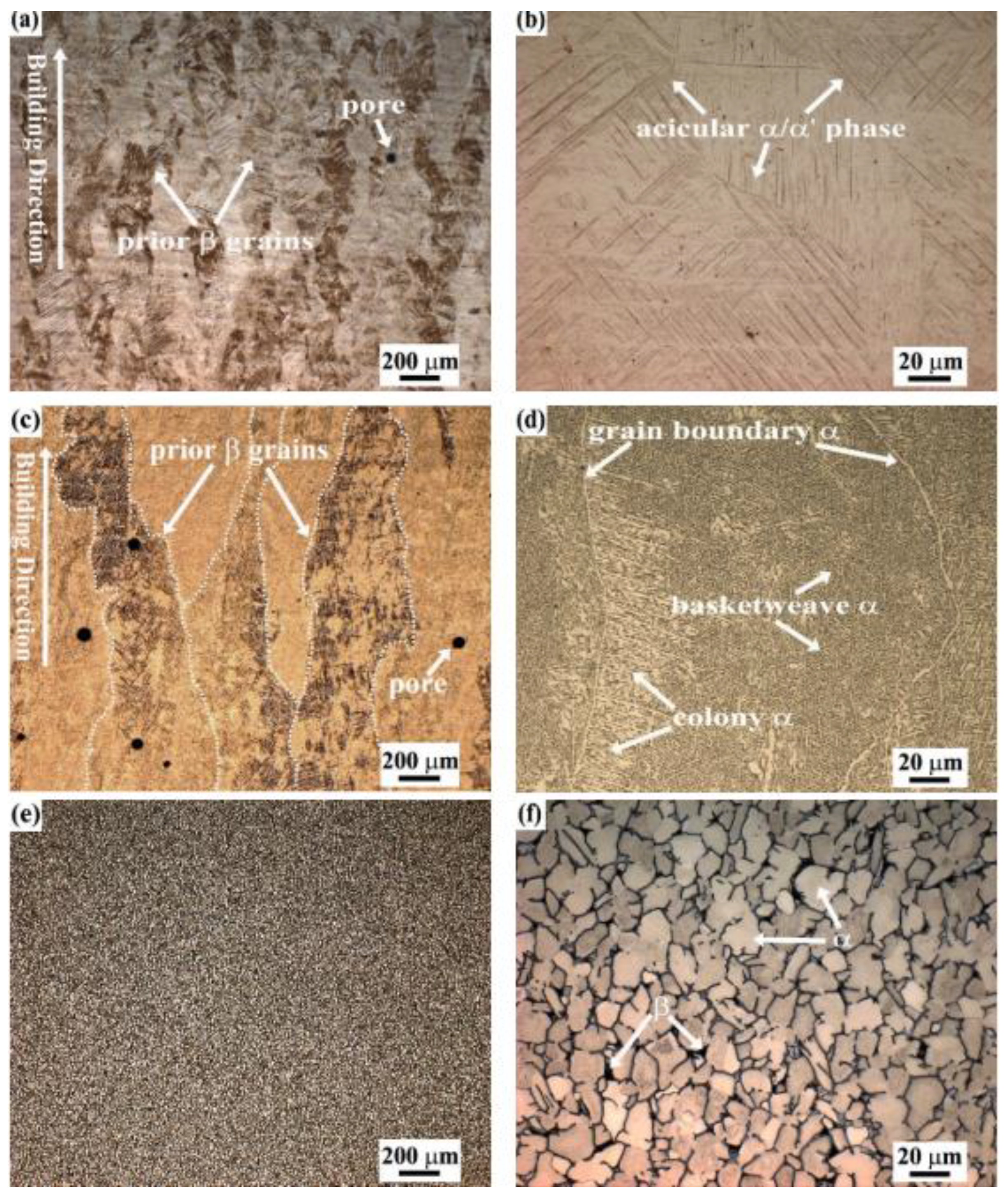 Preprints 185730 g002