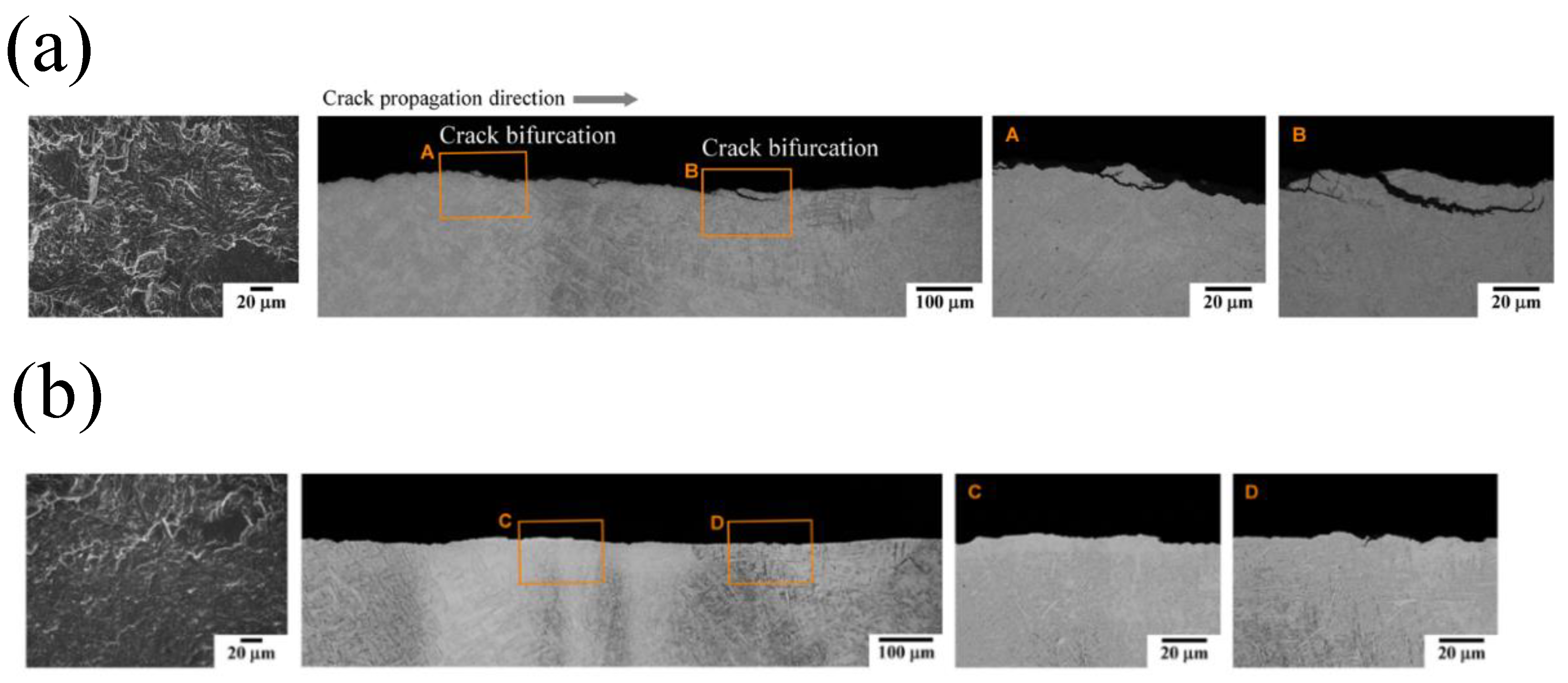 Preprints 185730 g013
