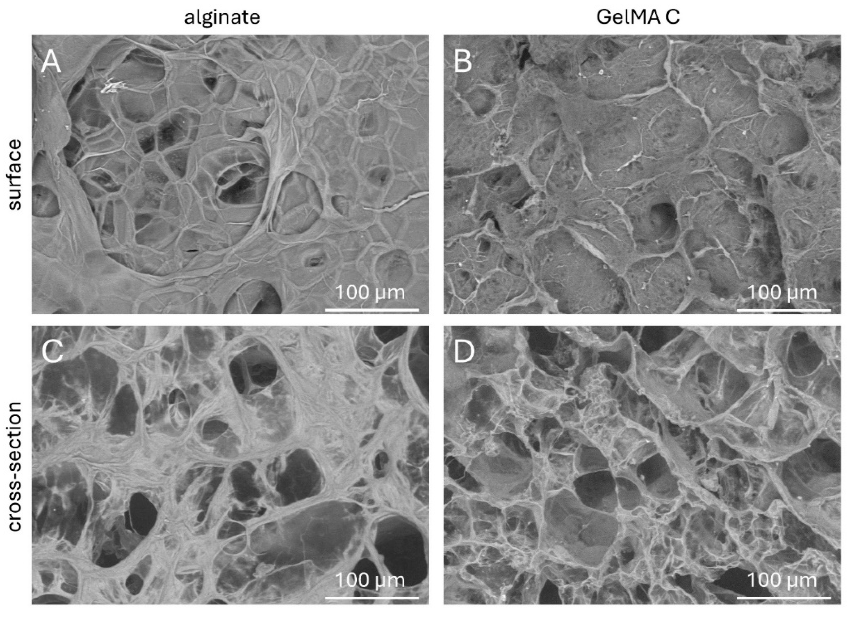 Preprints 145795 g002