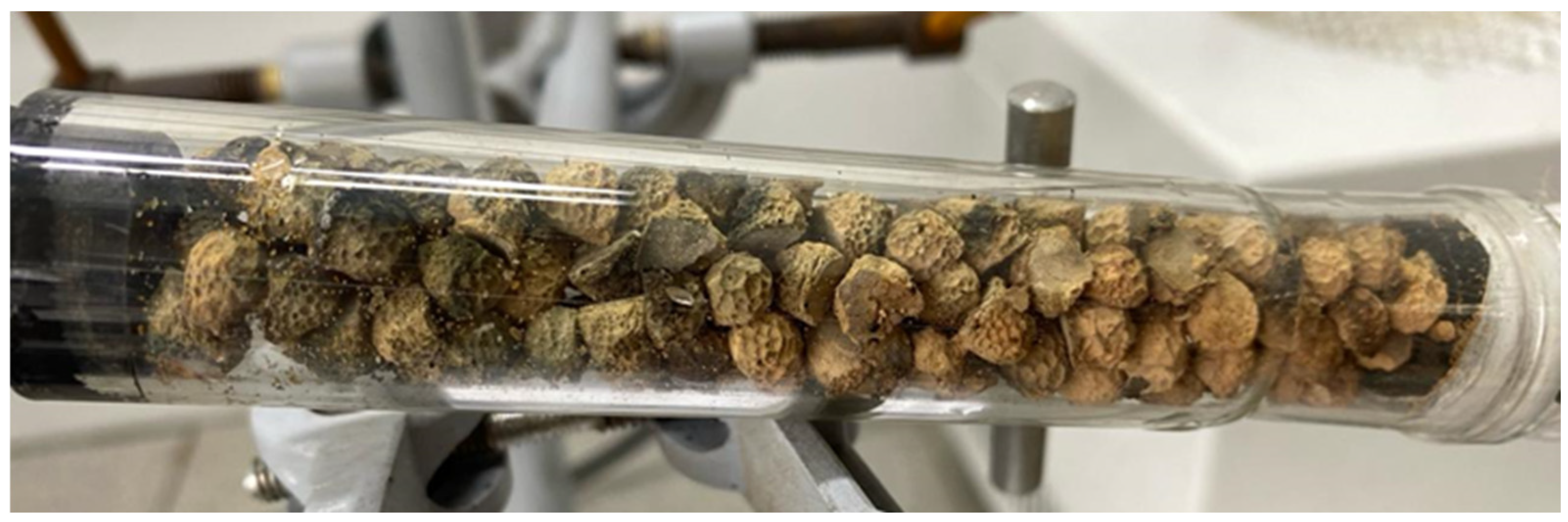 Preprints 143736 g003