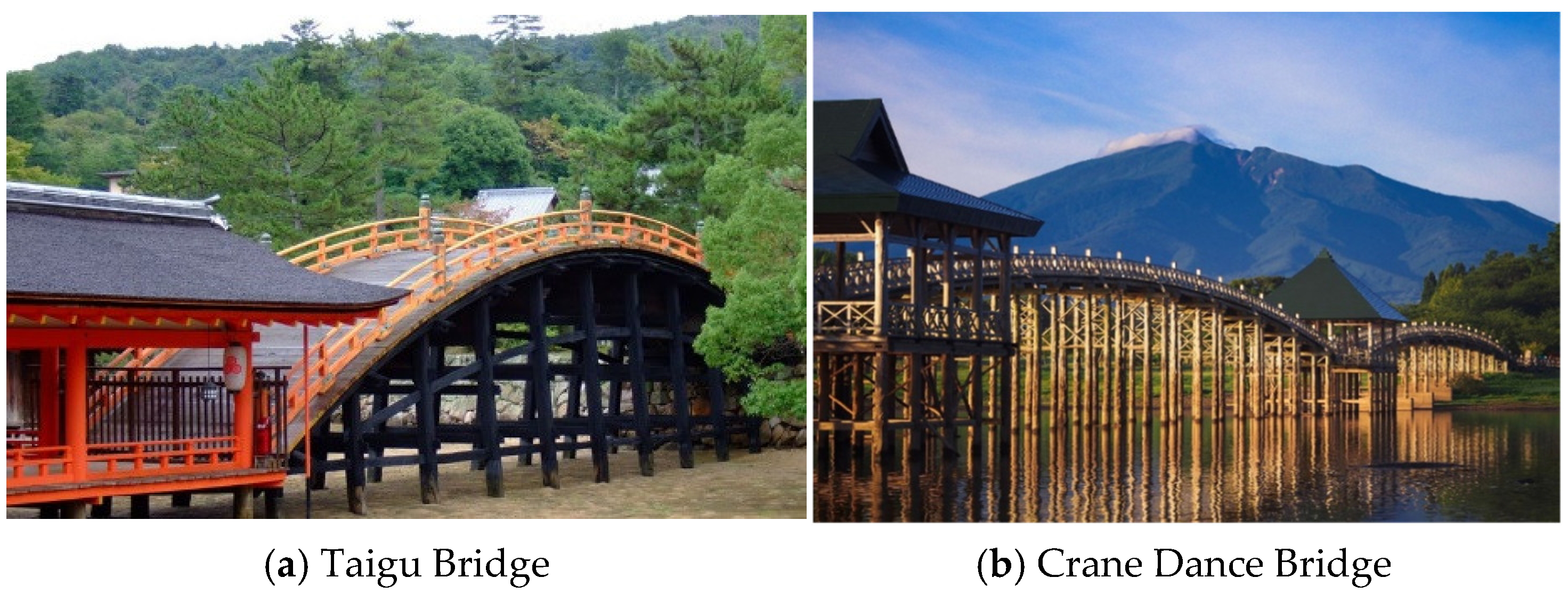 Preprints 162779 g001