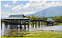 Preprints 162779 i005