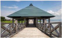 Preprints 162779 i006