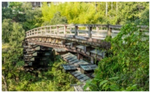 Preprints 162779 i017