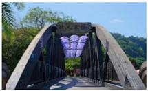 Preprints 162779 i022