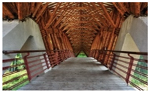 Preprints 162779 i024