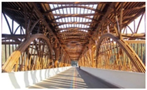 Preprints 162779 i028