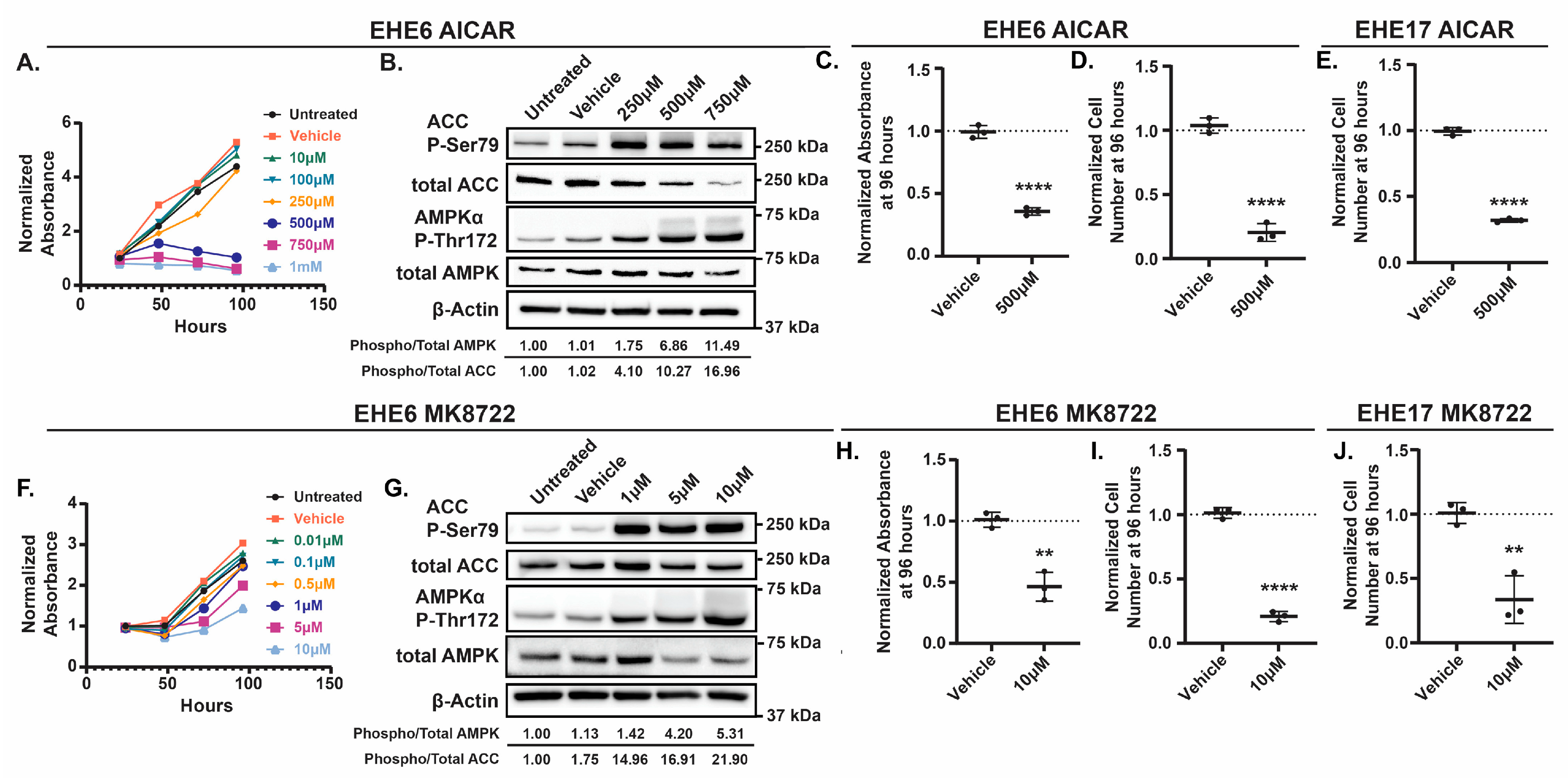 Preprints 158347 g002