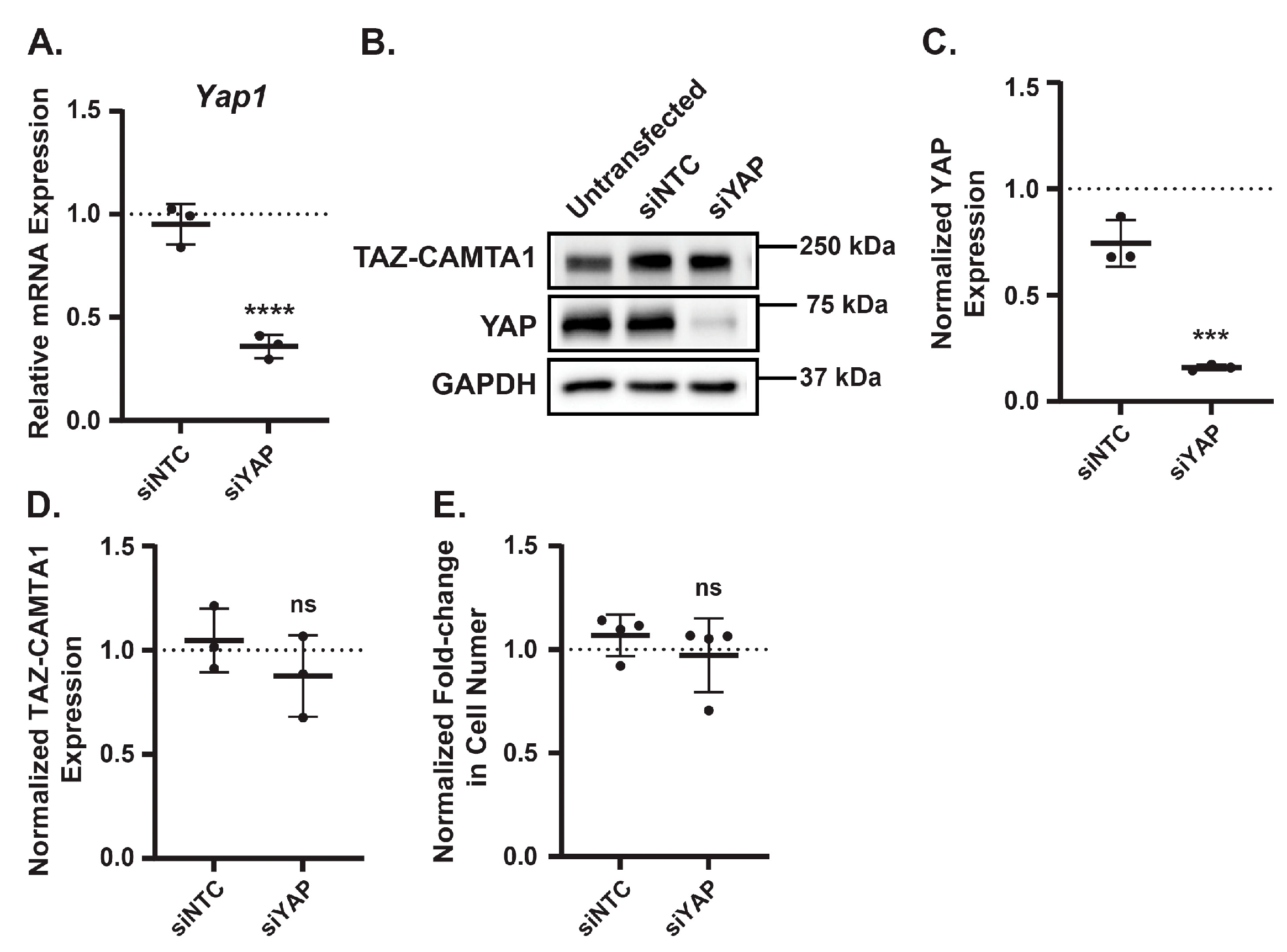 Preprints 158347 g004