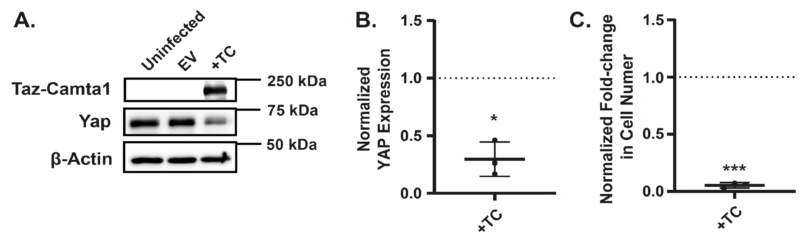 Preprints 158347 g005