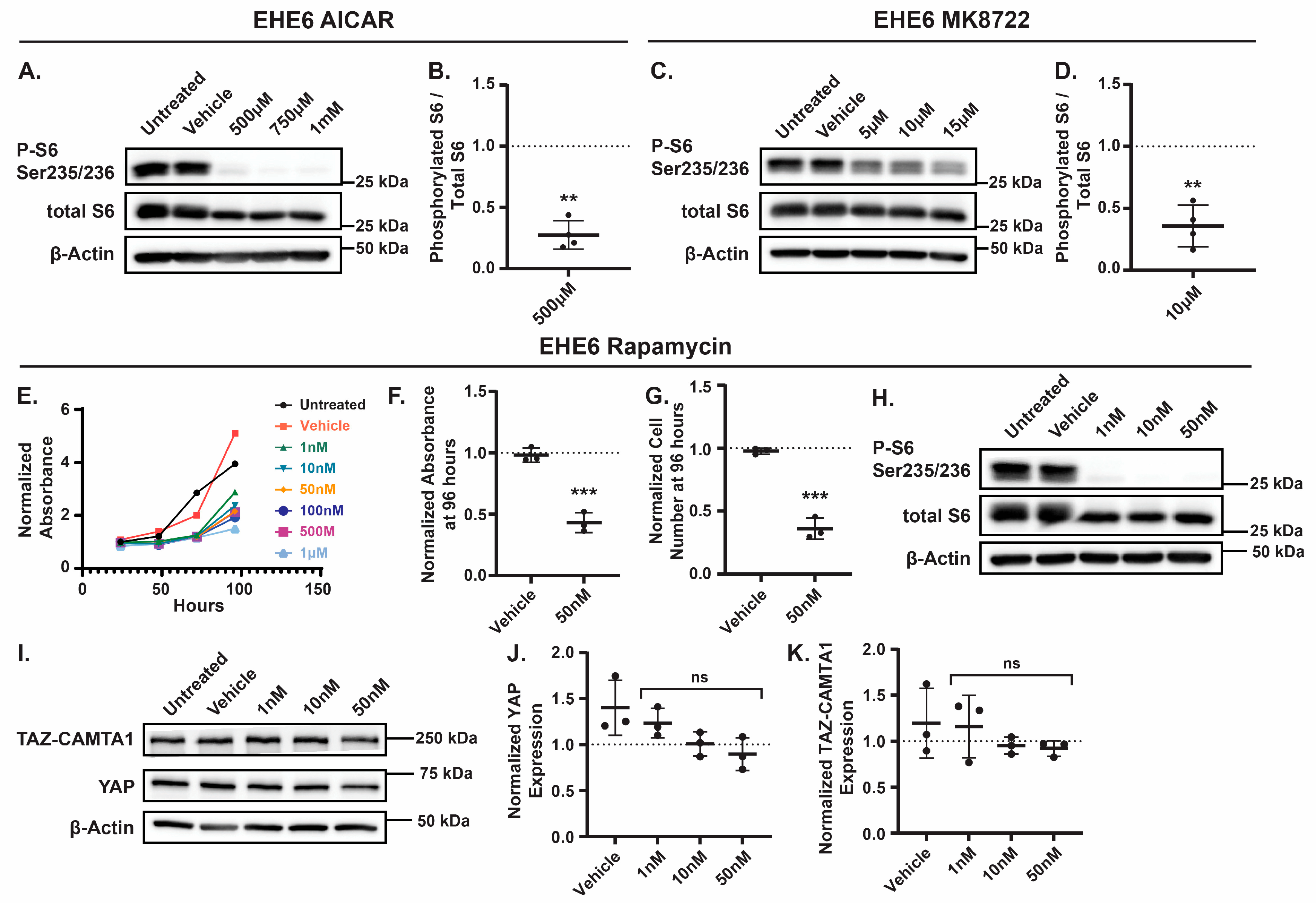 Preprints 158347 g006