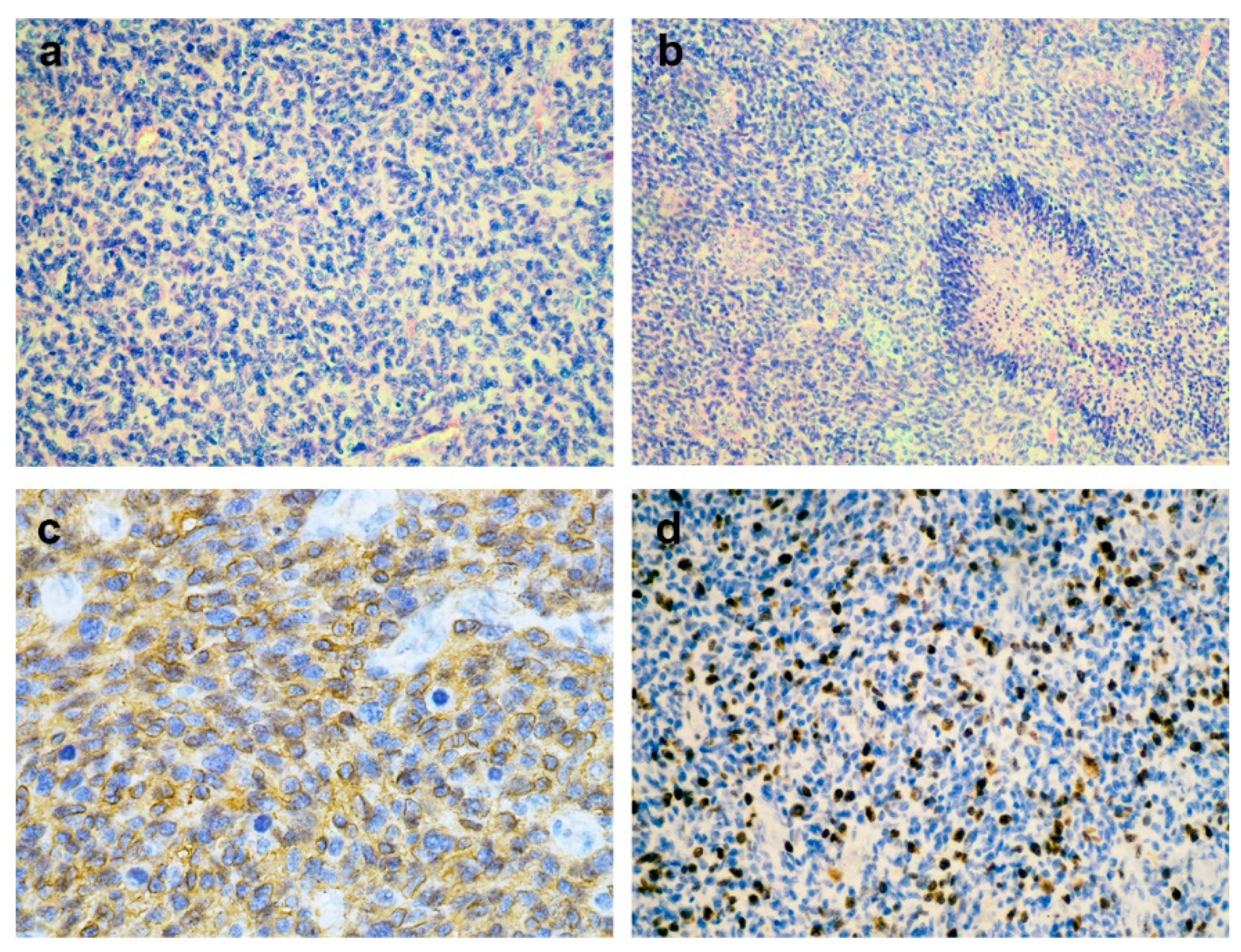 Preprints 154953 g003