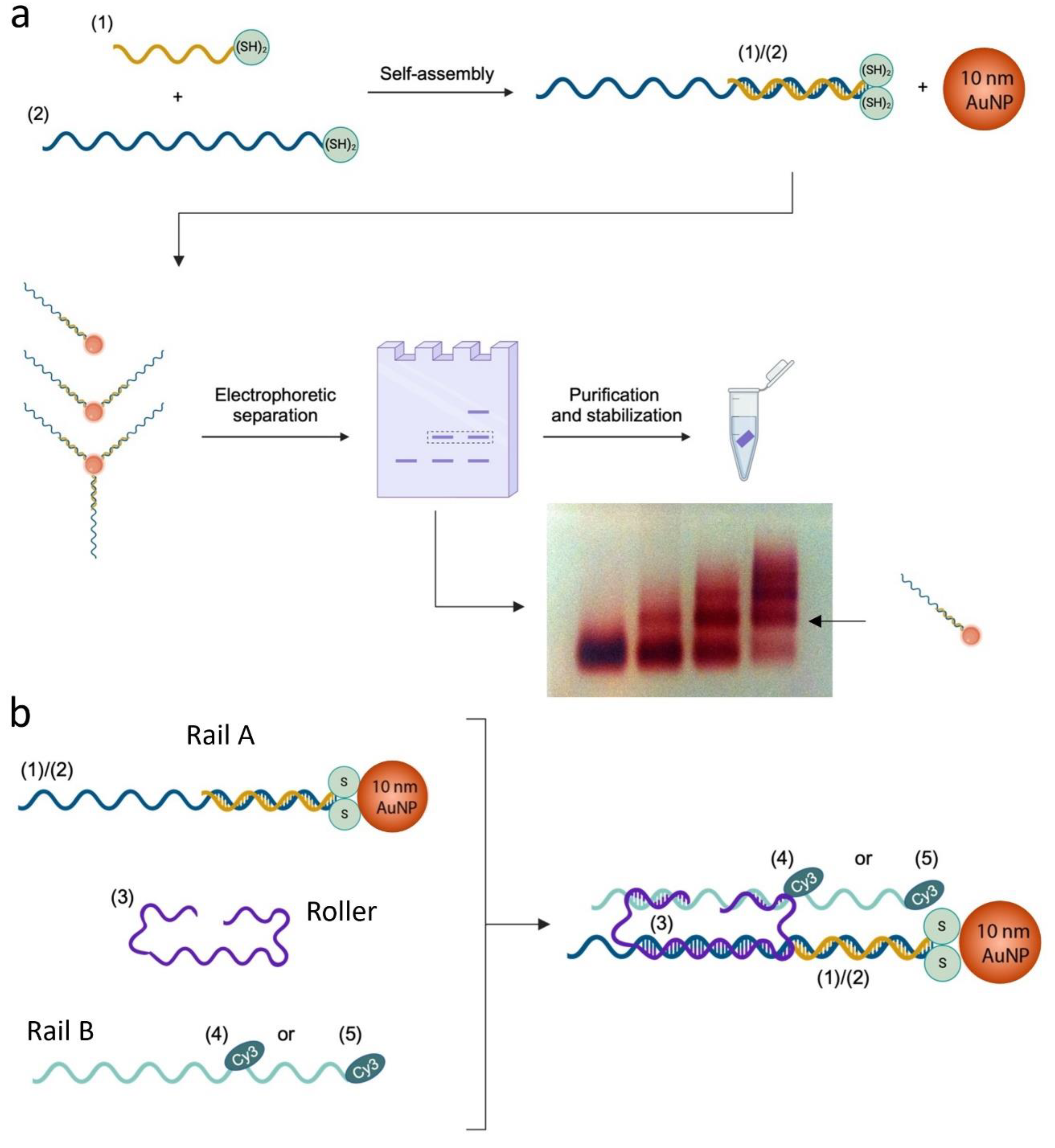 Preprints 148164 g001