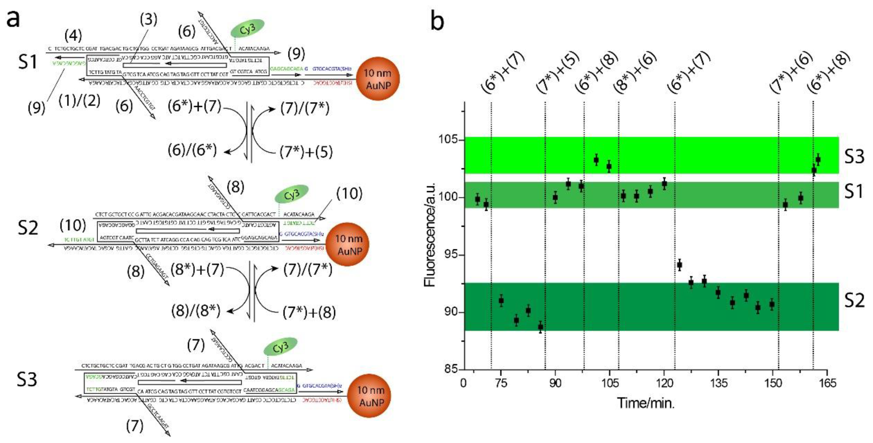 Preprints 148164 g002