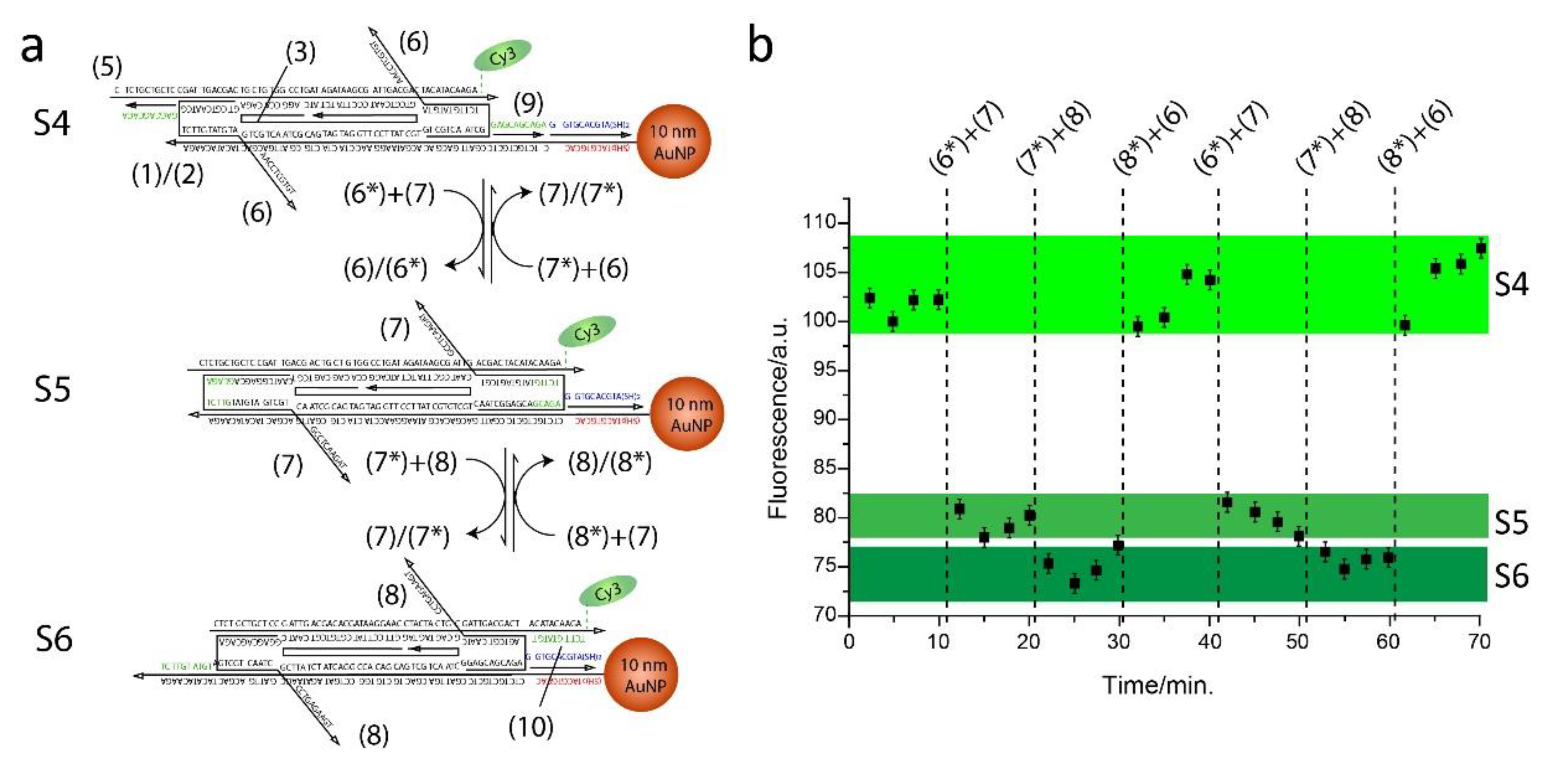 Preprints 148164 g003
